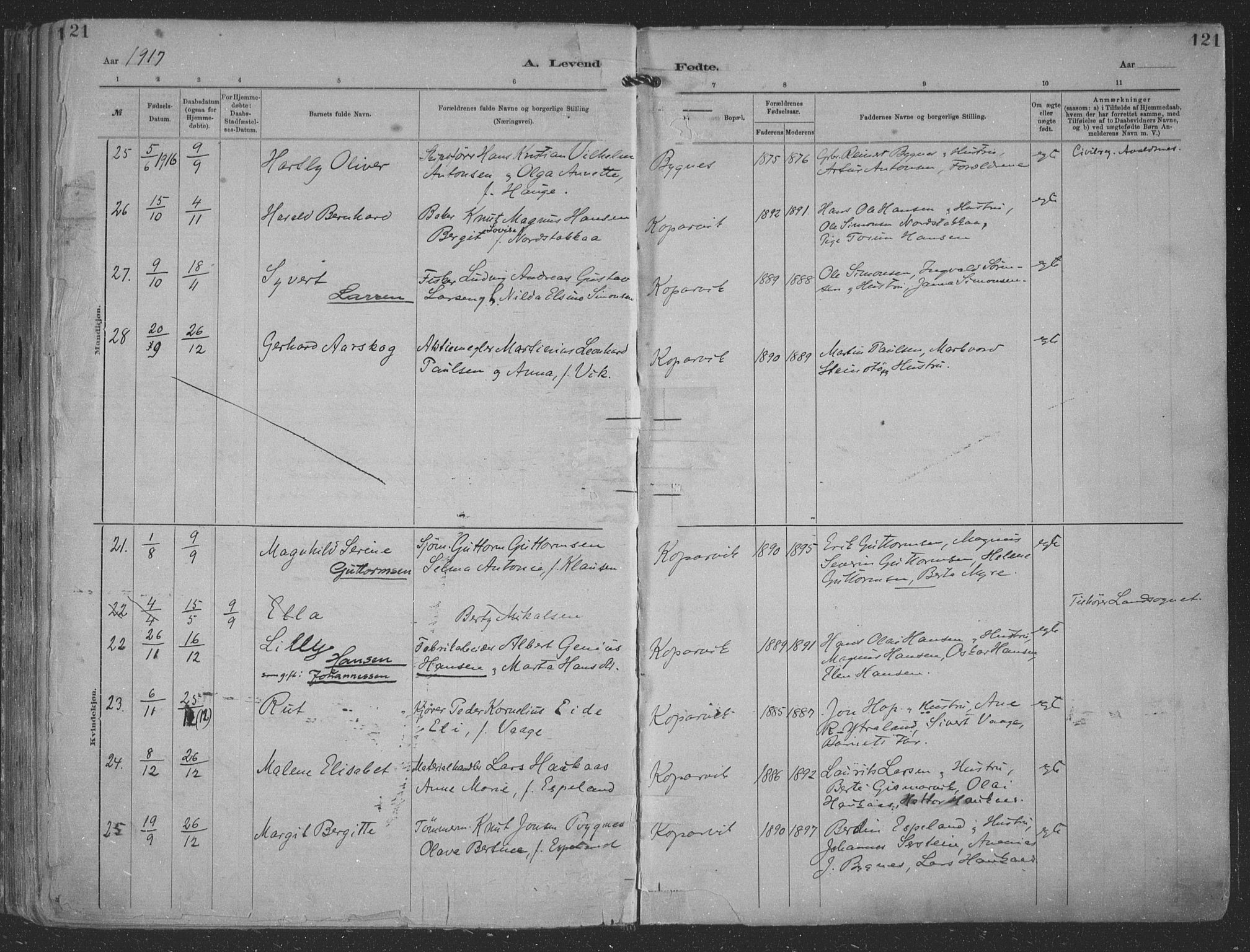 Kopervik sokneprestkontor, SAST/A-101850/H/Ha/Haa/L0001: Parish register (official) no. A 1, 1880-1919, p. 121