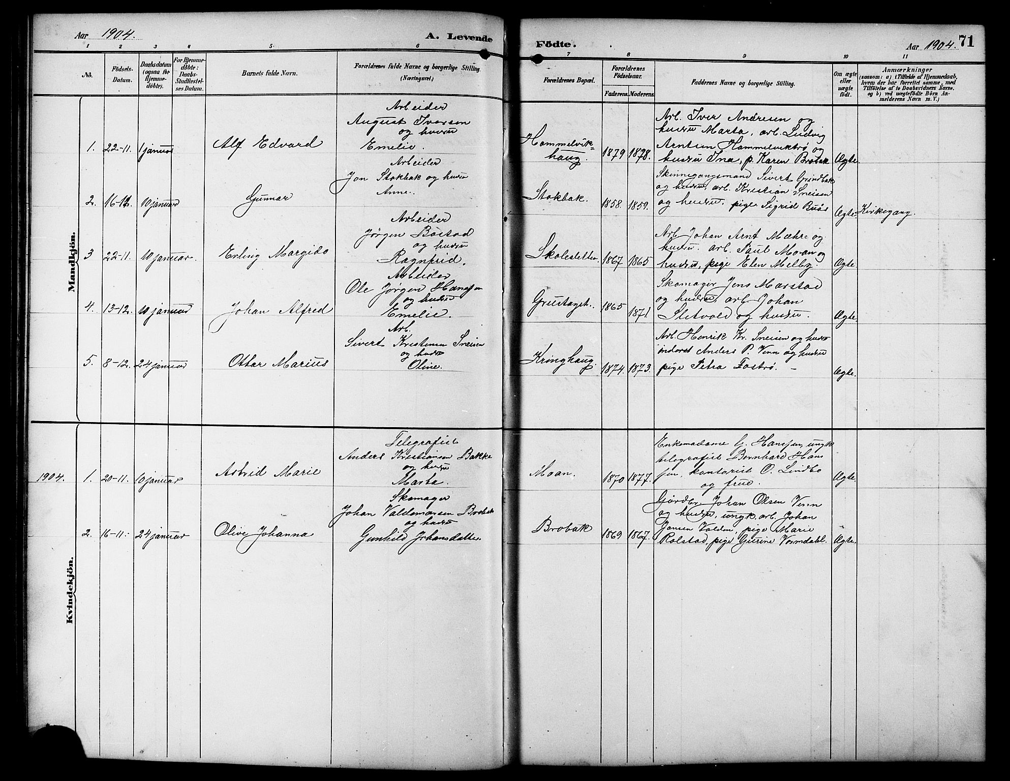 Ministerialprotokoller, klokkerbøker og fødselsregistre - Sør-Trøndelag, SAT/A-1456/617/L0431: Parish register (copy) no. 617C01, 1889-1910, p. 71