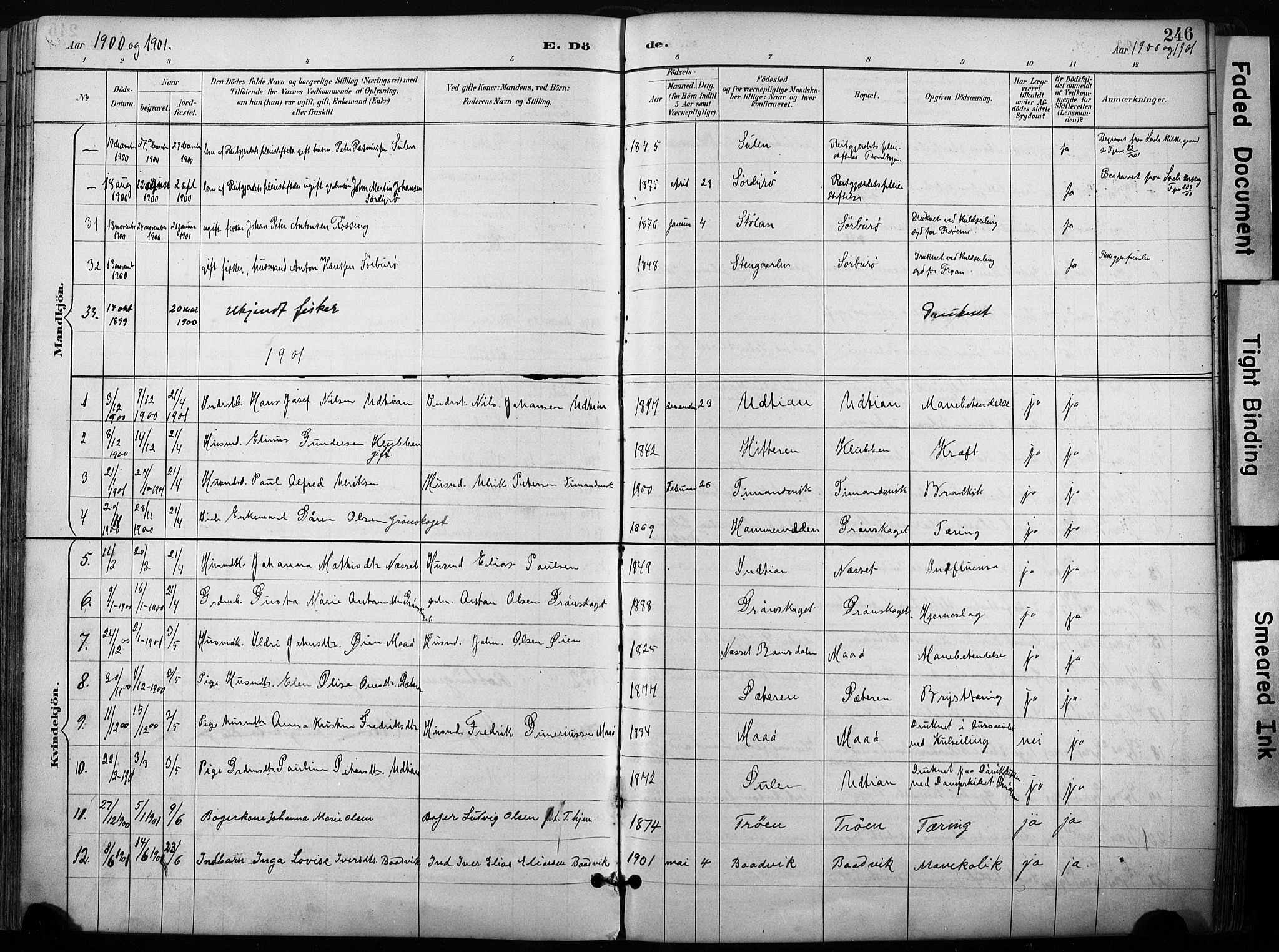 Ministerialprotokoller, klokkerbøker og fødselsregistre - Sør-Trøndelag, SAT/A-1456/640/L0579: Parish register (official) no. 640A04, 1889-1902, p. 246
