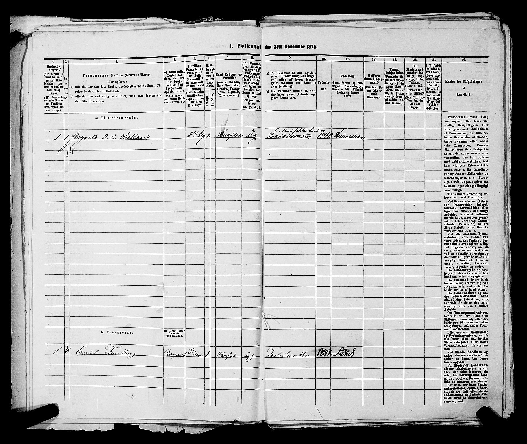 SAKO, 1875 census for 0602 Drammen, 1875, p. 2377