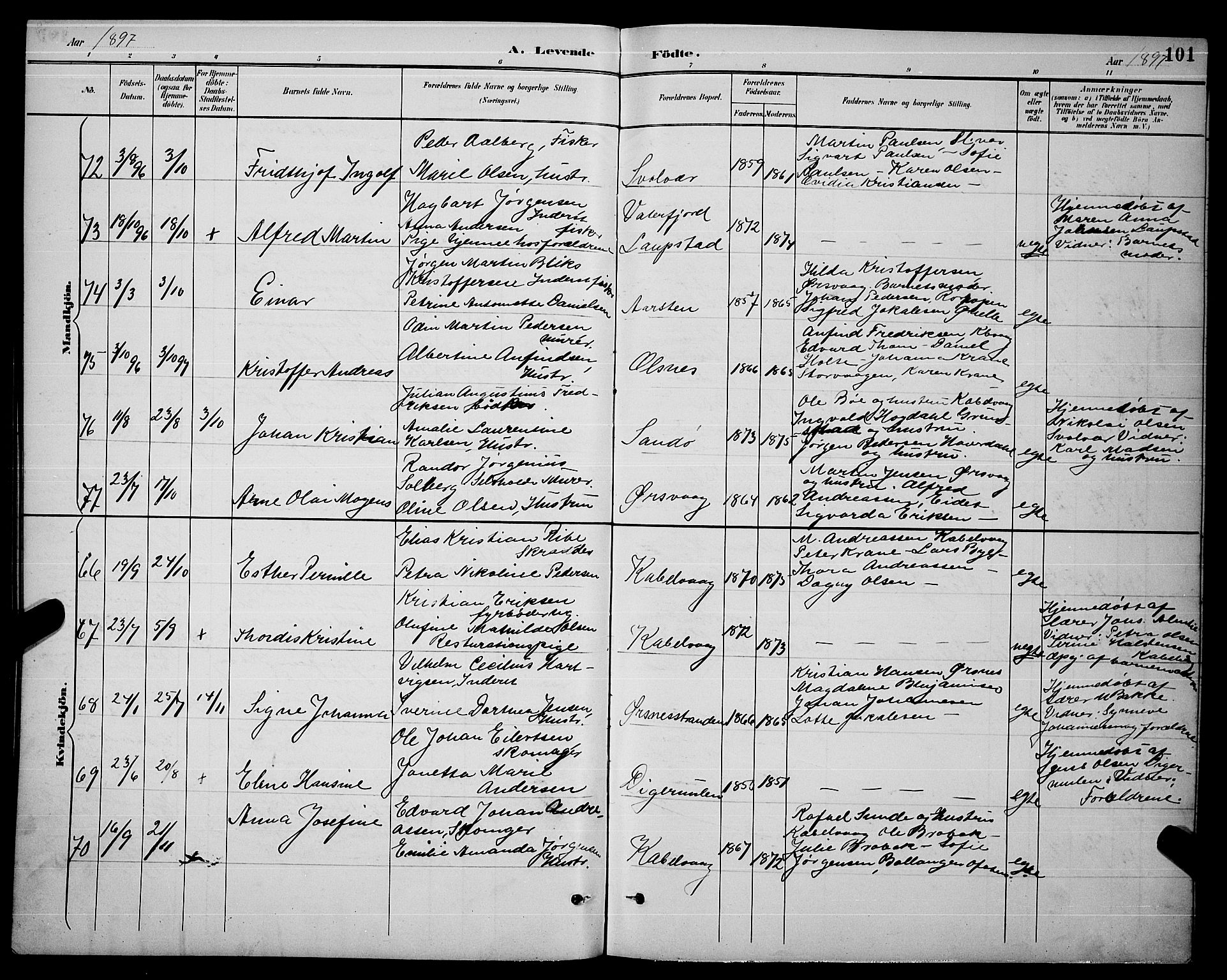 Ministerialprotokoller, klokkerbøker og fødselsregistre - Nordland, AV/SAT-A-1459/874/L1077: Parish register (copy) no. 874C06, 1891-1900, p. 101