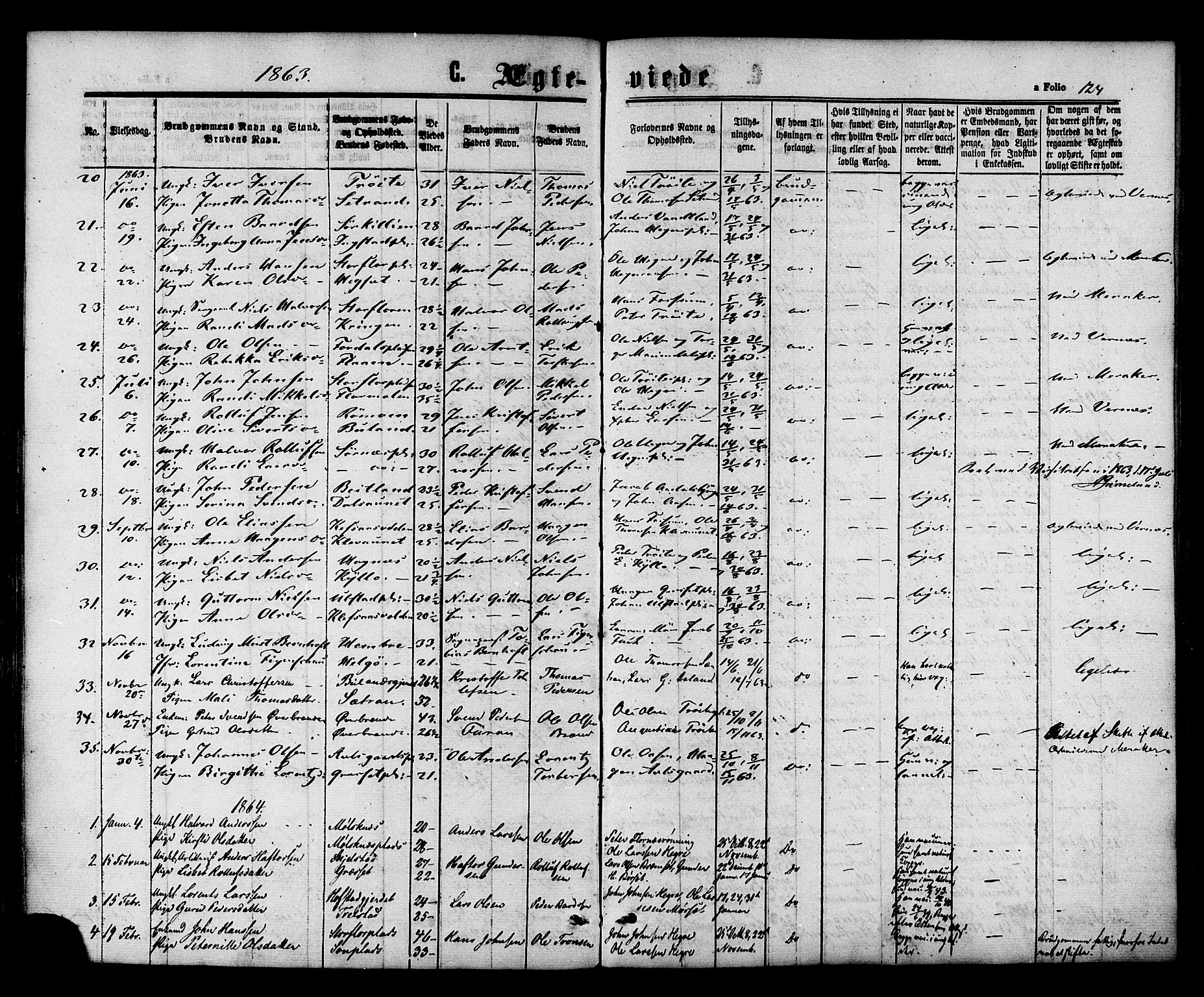 Ministerialprotokoller, klokkerbøker og fødselsregistre - Nord-Trøndelag, SAT/A-1458/703/L0029: Parish register (official) no. 703A02, 1863-1879, p. 124