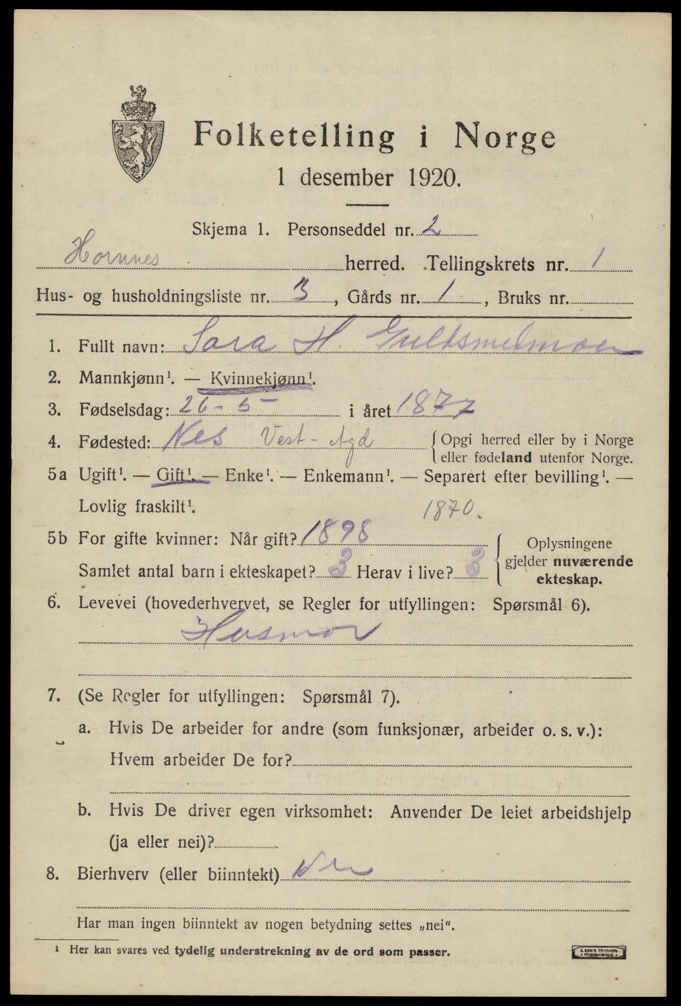 SAK, 1920 census for Hornnes, 1920, p. 581