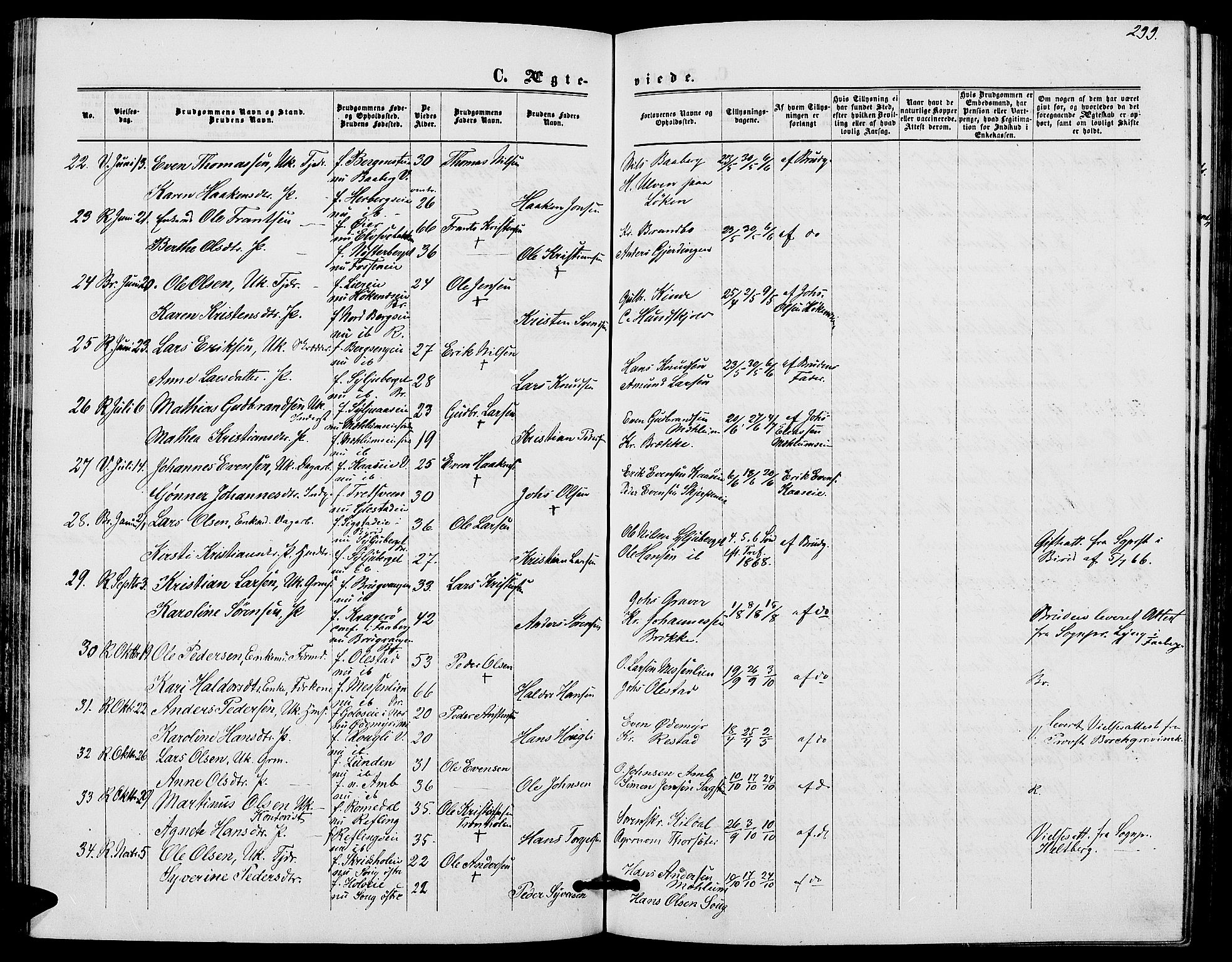 Ringsaker prestekontor, AV/SAH-PREST-014/L/La/L0007: Parish register (copy) no. 7, 1861-1869, p. 299