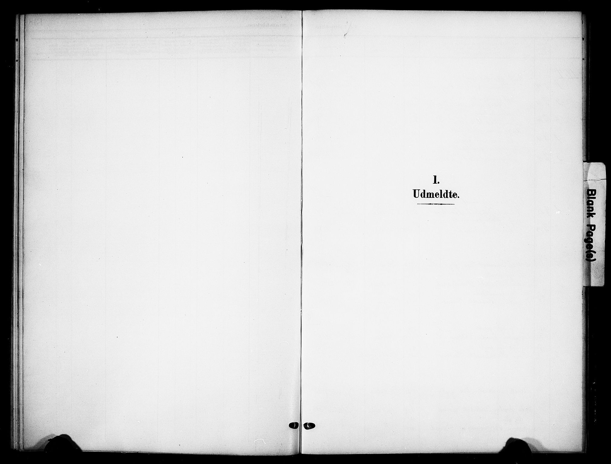 Tynset prestekontor, AV/SAH-PREST-058/H/Ha/Hab/L0010: Parish register (copy) no. 10, 1902-1929