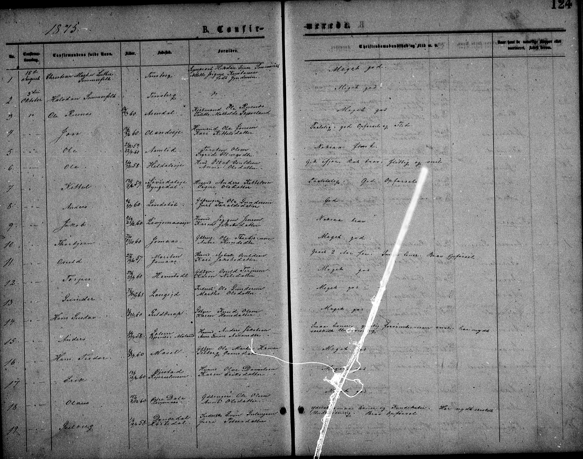 Froland sokneprestkontor, SAK/1111-0013/F/Fb/L0009: Parish register (copy) no. B 9, 1875-1893, p. 124