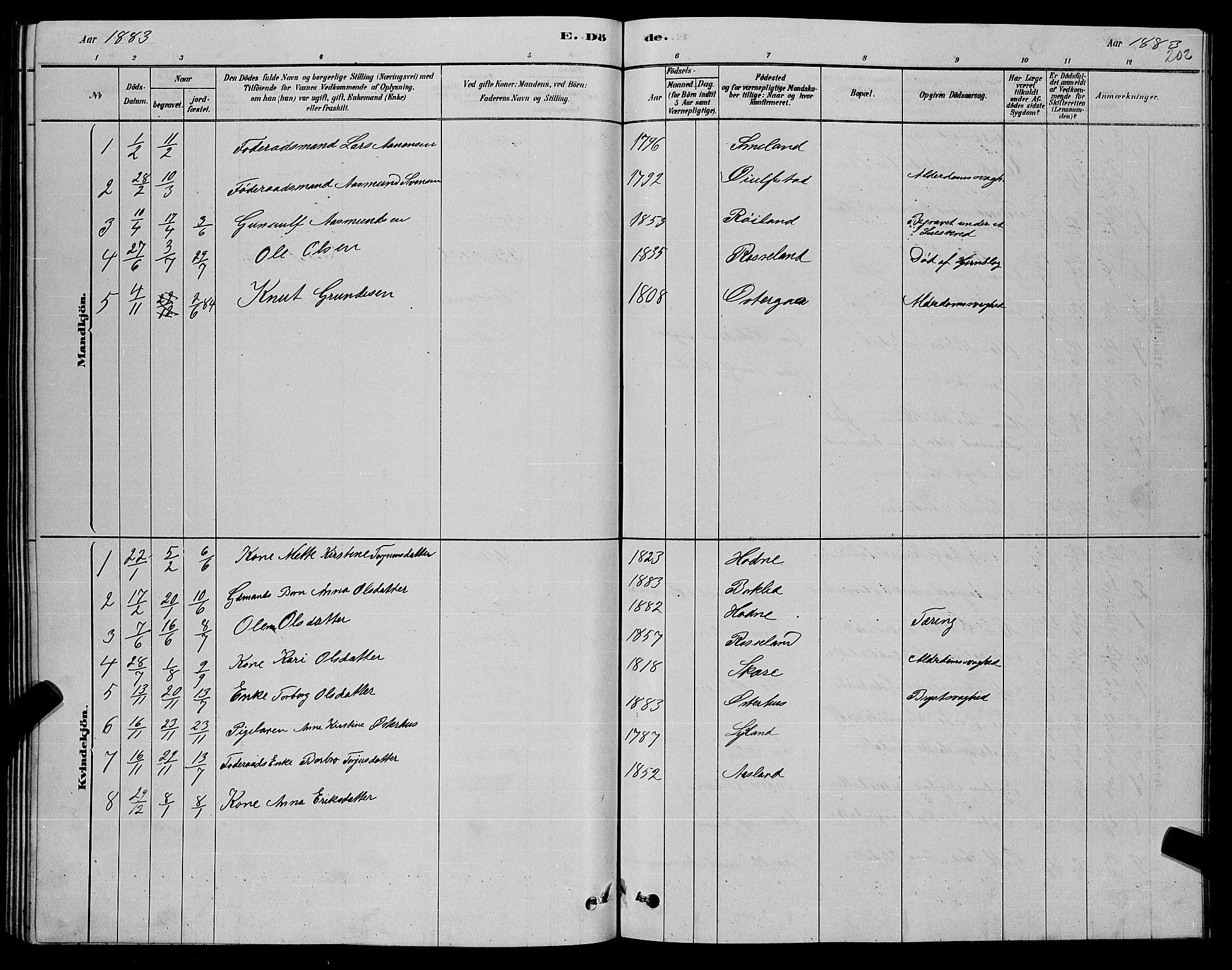 Åseral sokneprestkontor, AV/SAK-1111-0051/F/Fb/L0002: Parish register (copy) no. B 2, 1878-1899, p. 202