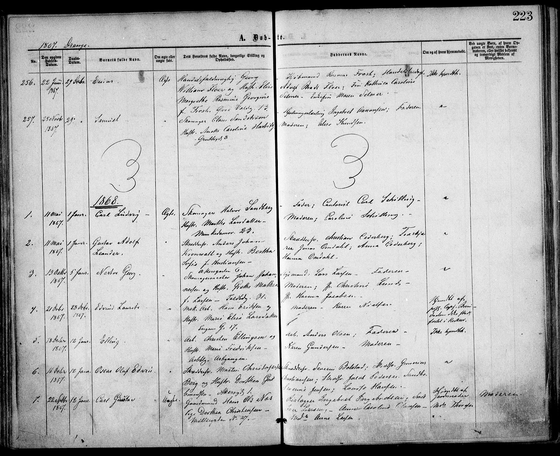 Trefoldighet prestekontor Kirkebøker, SAO/A-10882/F/Fa/L0002: Parish register (official) no. I 2, 1863-1870, p. 223