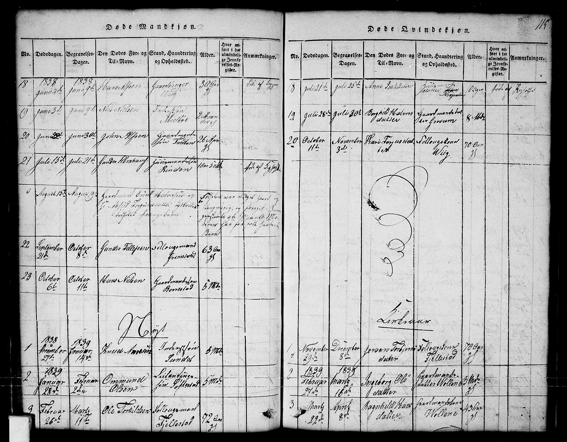 Nissedal kirkebøker, SAKO/A-288/G/Ga/L0001: Parish register (copy) no. I 1, 1814-1860, p. 115