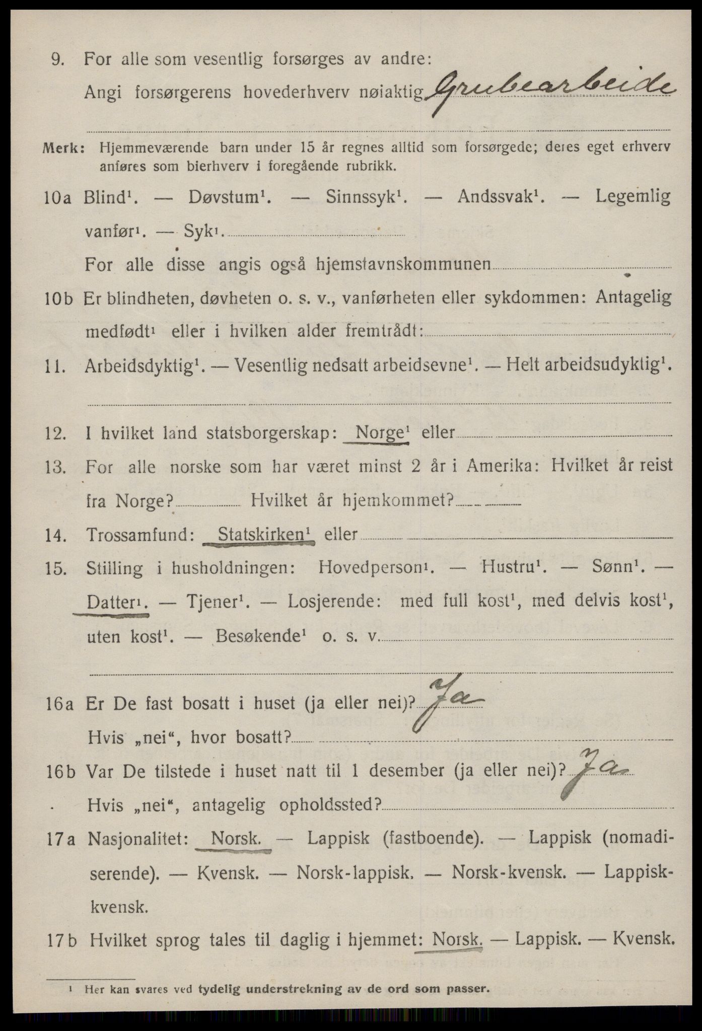 SAT, 1920 census for Røros, 1920, p. 8175