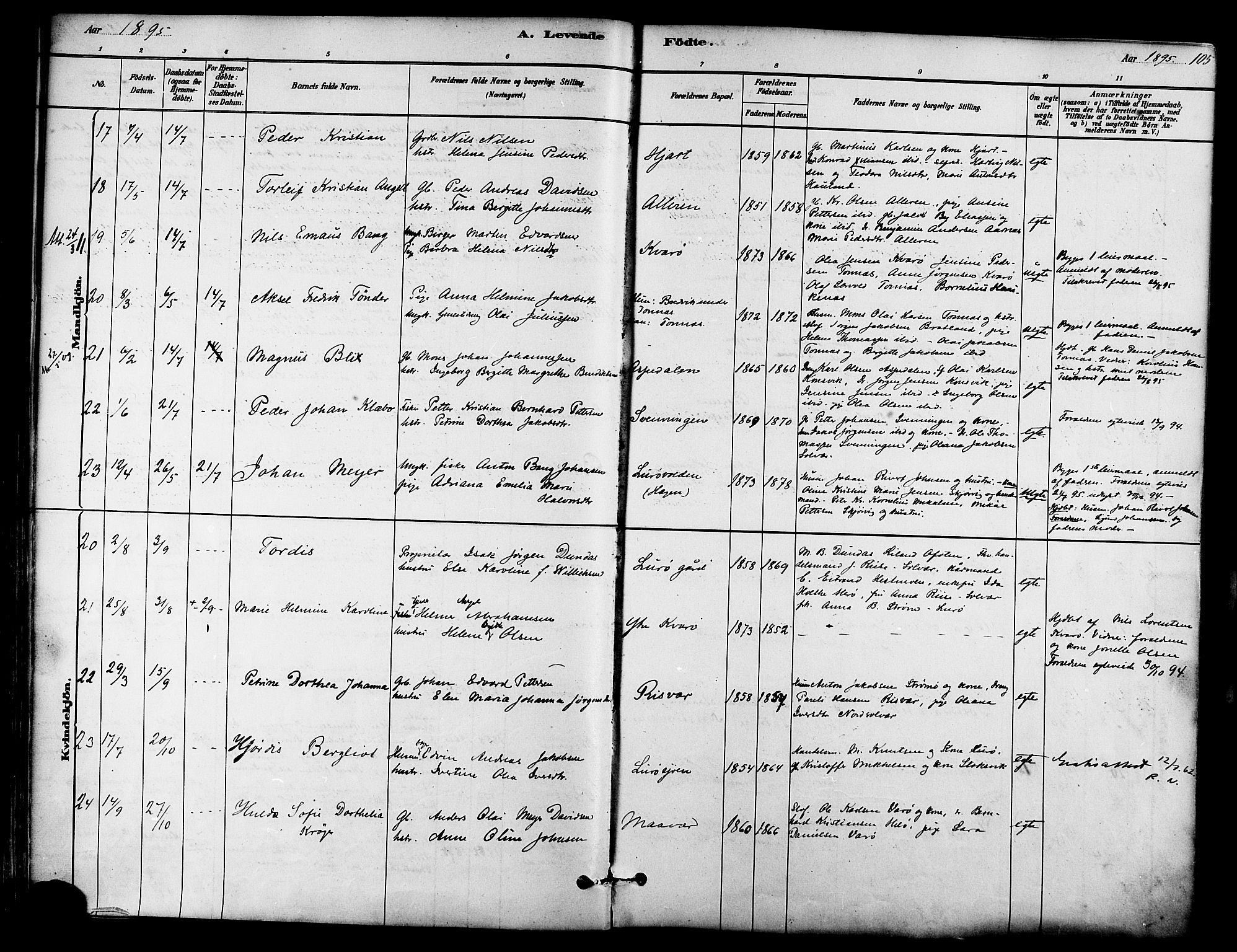 Ministerialprotokoller, klokkerbøker og fødselsregistre - Nordland, AV/SAT-A-1459/839/L0568: Parish register (official) no. 839A05, 1880-1902, p. 105