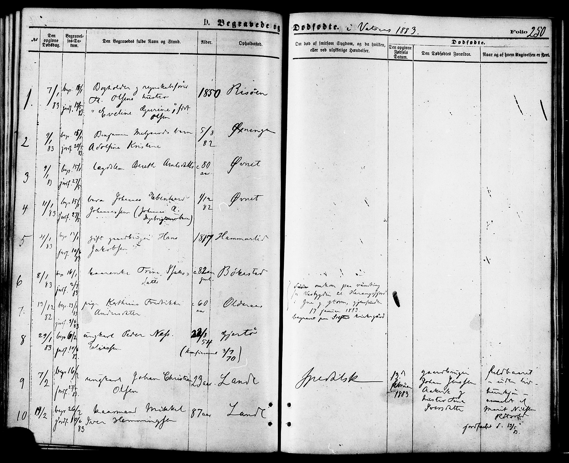 Ministerialprotokoller, klokkerbøker og fødselsregistre - Nordland, AV/SAT-A-1459/810/L0148: Parish register (official) no. 810A09 /1, 1874-1884, p. 250