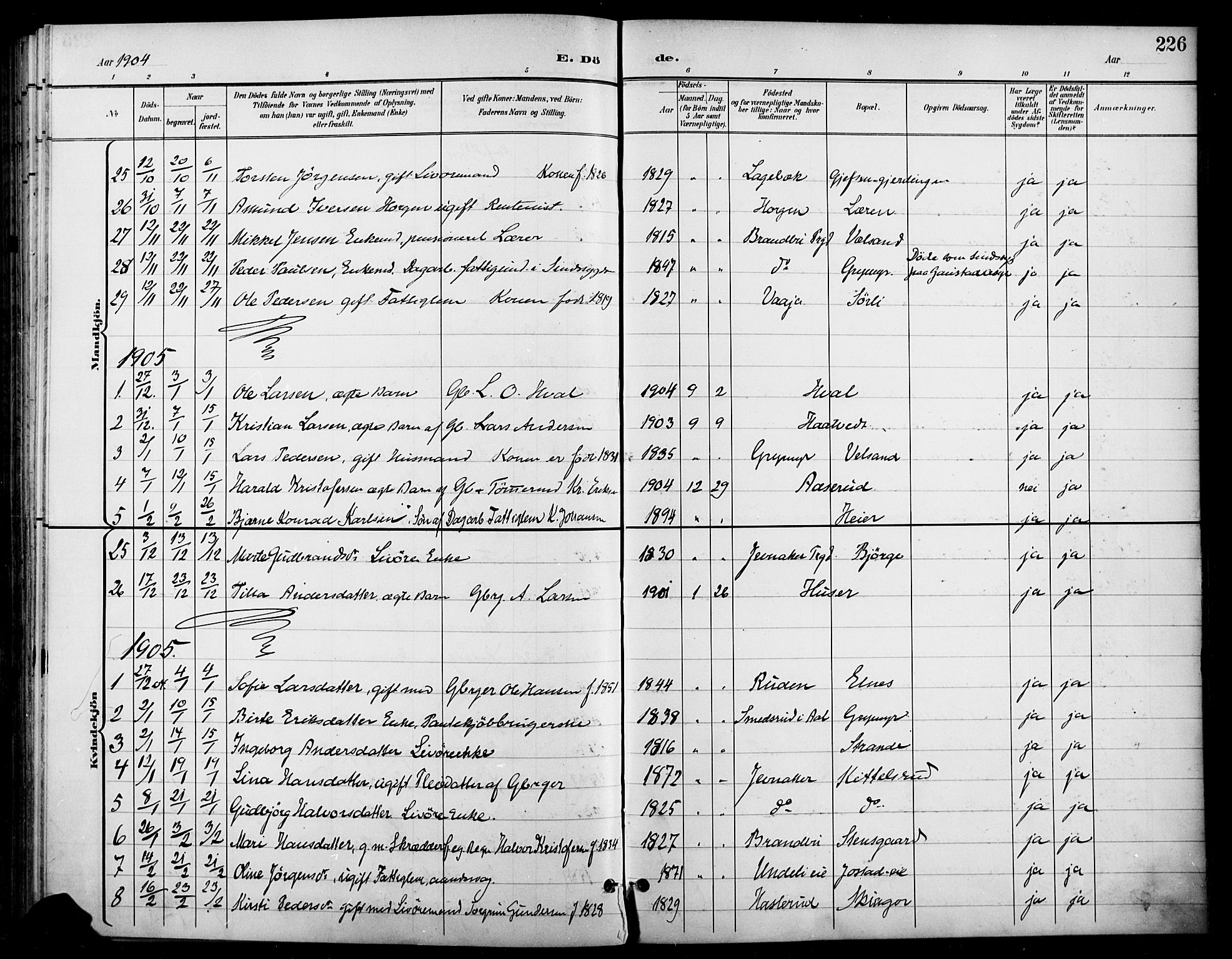 Gran prestekontor, SAH/PREST-112/H/Ha/Haa/L0019: Parish register (official) no. 19, 1898-1907, p. 226
