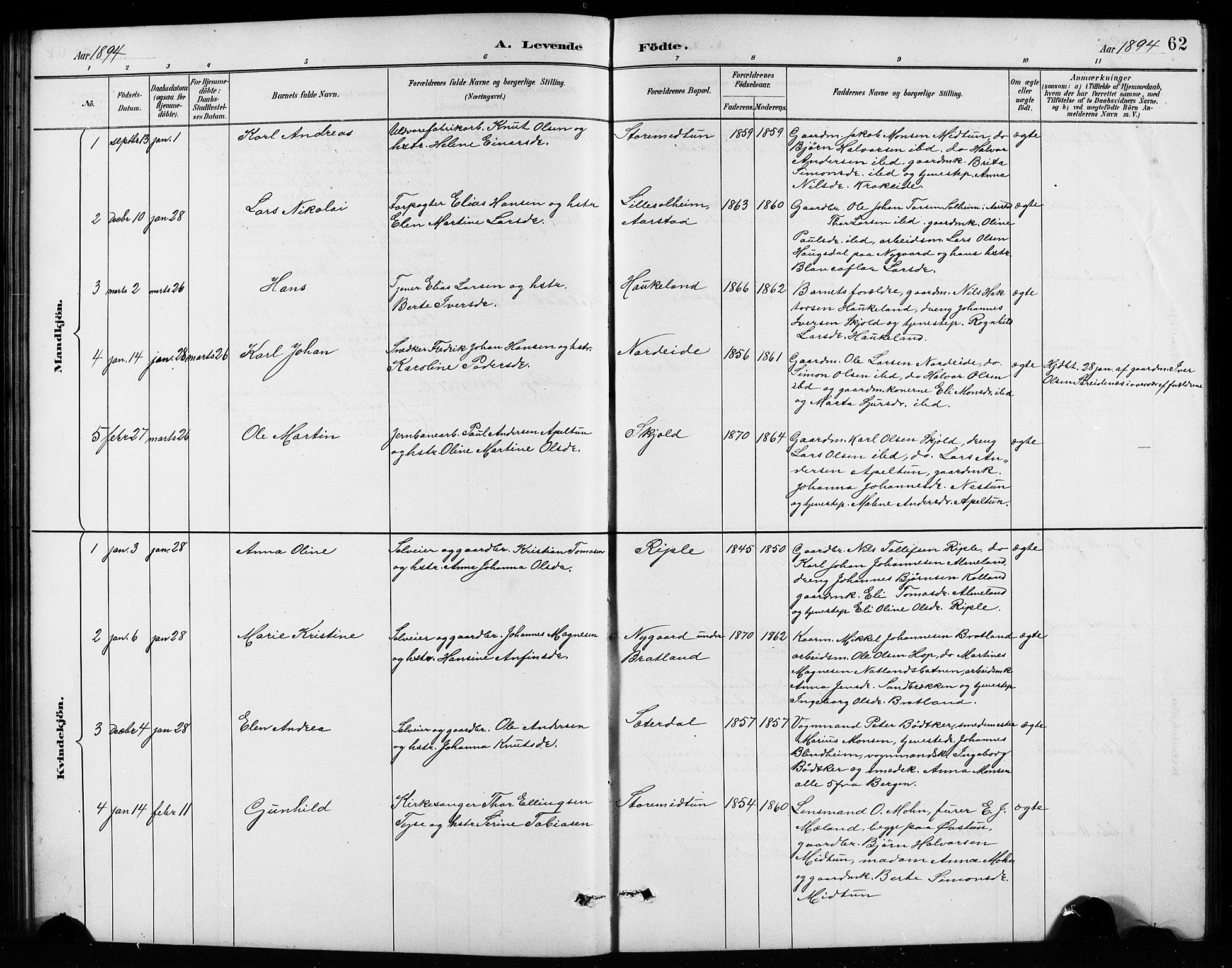 Birkeland Sokneprestembete, SAB/A-74601/H/Hab: Parish register (copy) no. A 4, 1888-1897, p. 62