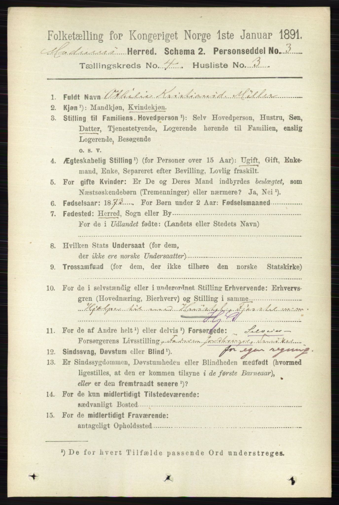 RA, 1891 census for 0623 Modum, 1891, p. 1003