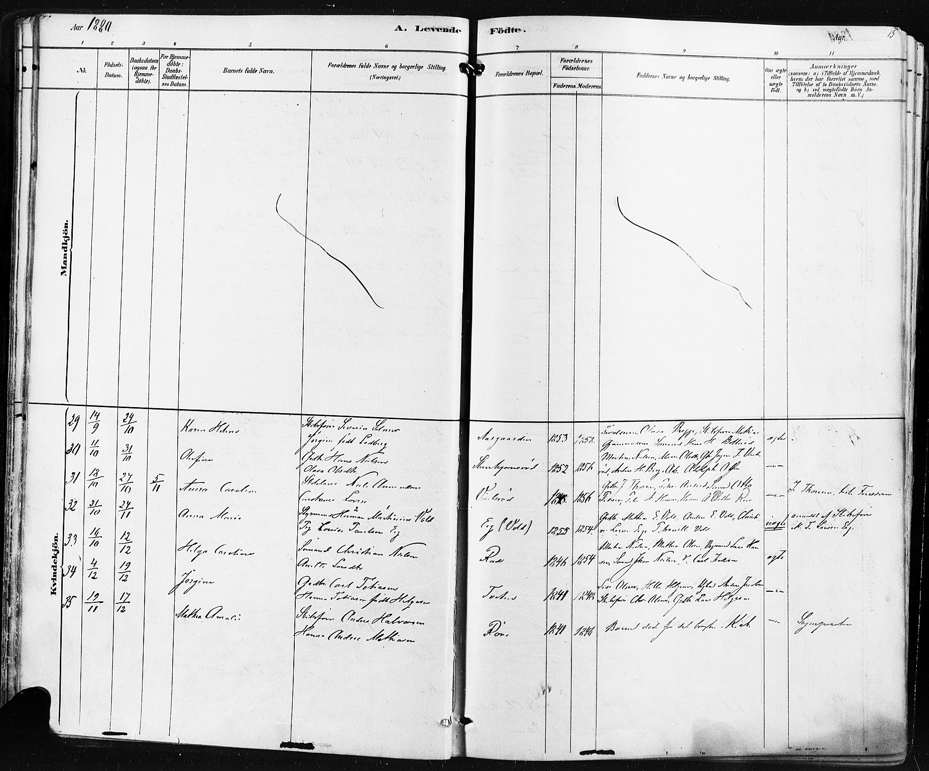 Borre kirkebøker, AV/SAKO-A-338/F/Fa/L0009: Parish register (official) no. I 9, 1878-1896, p. 15