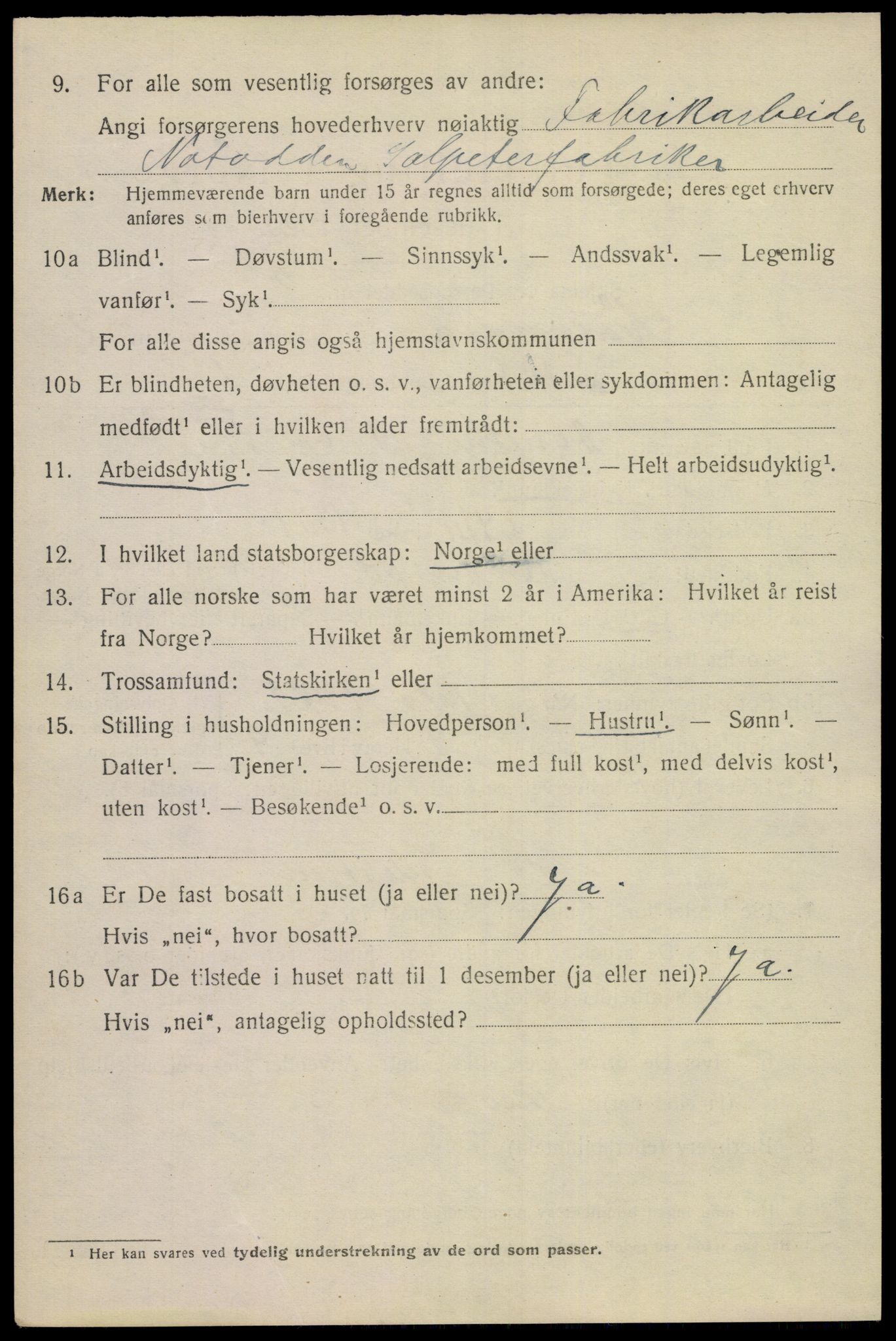 SAKO, 1920 census for Notodden, 1920, p. 15417