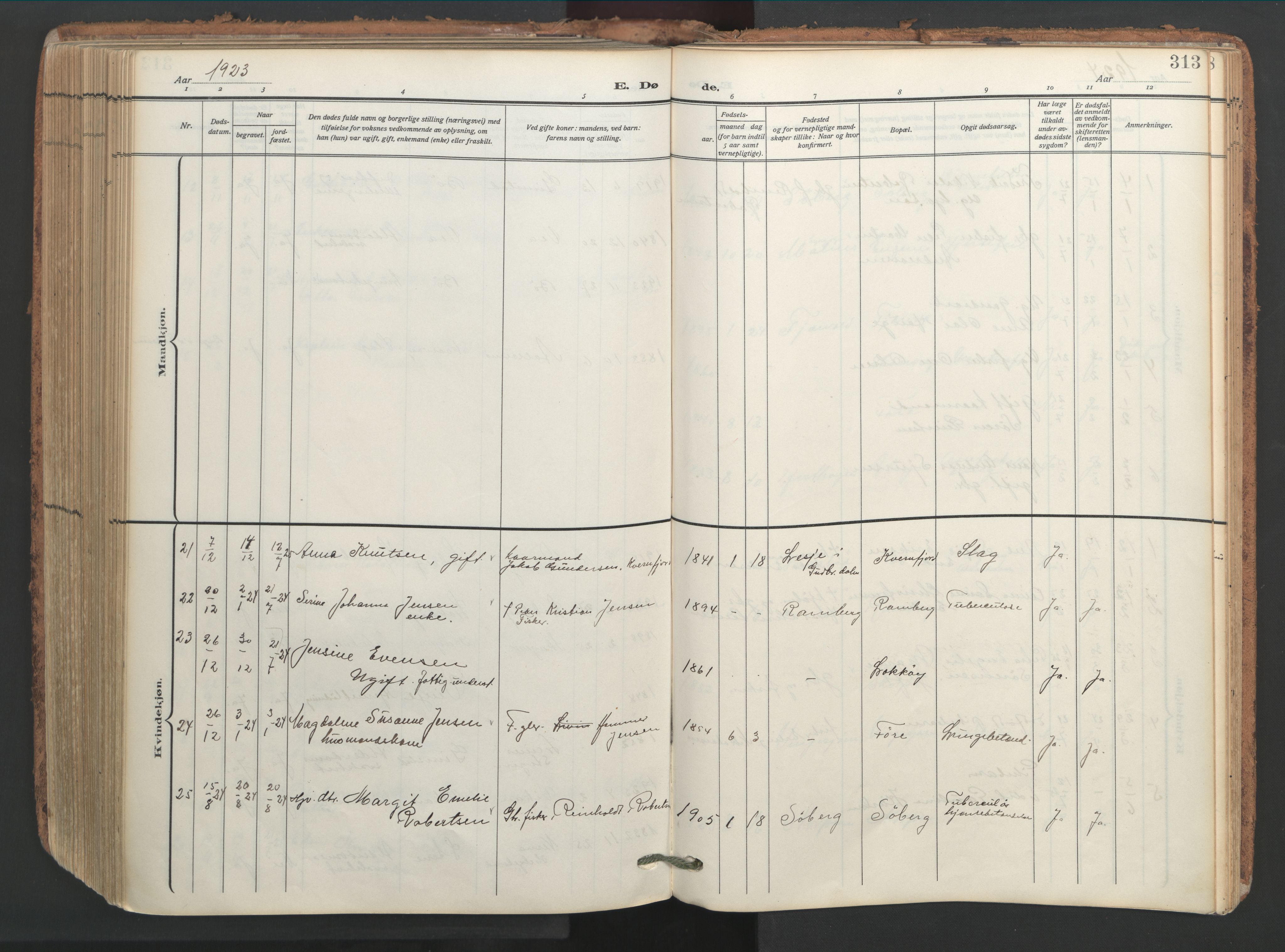 Ministerialprotokoller, klokkerbøker og fødselsregistre - Nordland, AV/SAT-A-1459/891/L1306: Parish register (official) no. 891A11, 1911-1927, p. 313