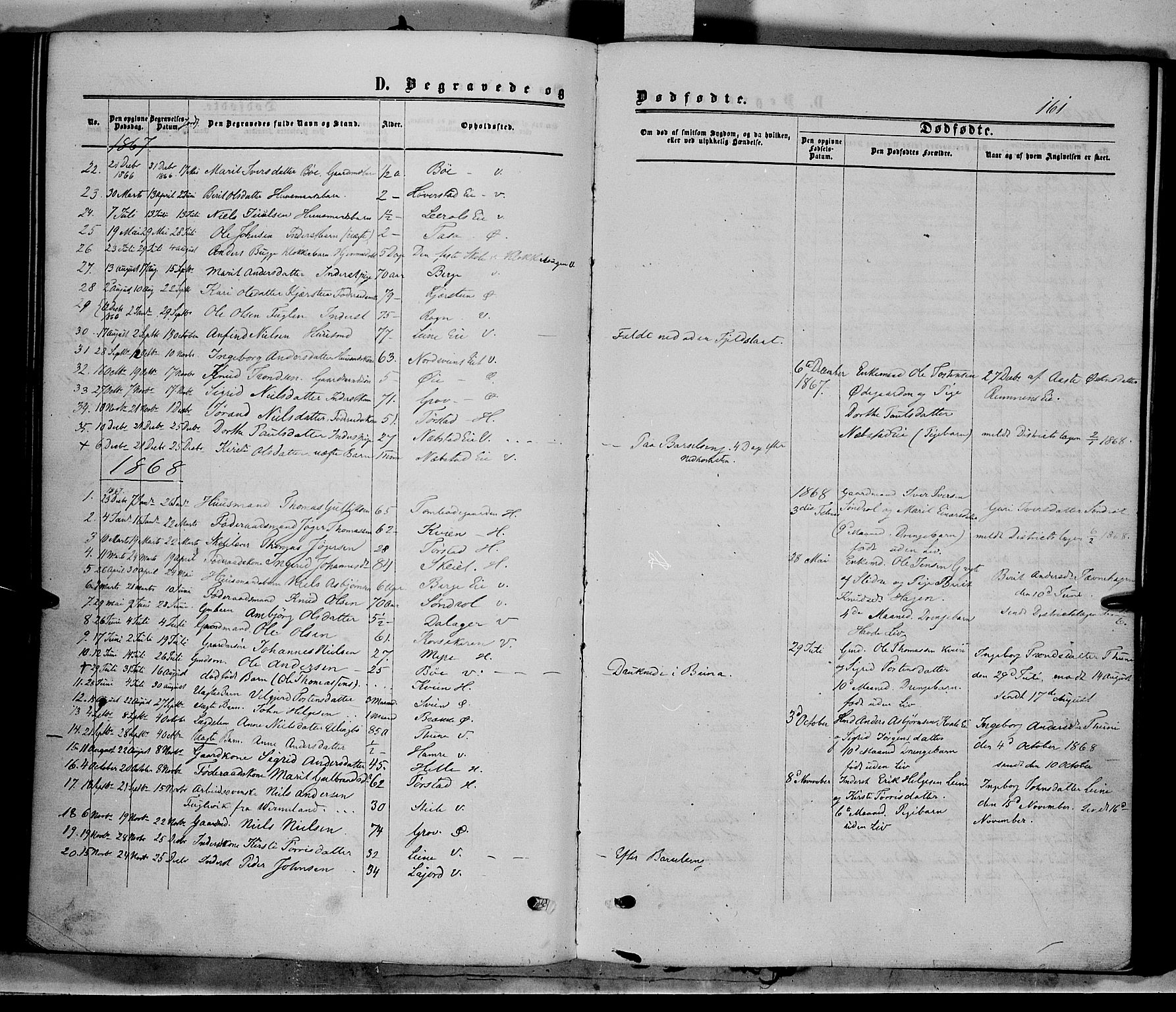 Vang prestekontor, Valdres, SAH/PREST-140/H/Ha/L0007: Parish register (official) no. 7, 1865-1881, p. 161