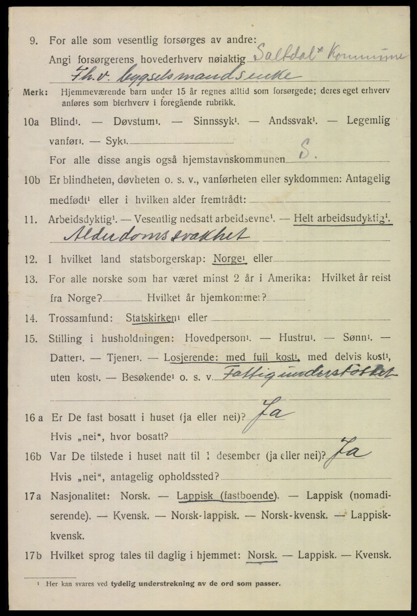 SAT, 1920 census for Saltdal, 1920, p. 7344