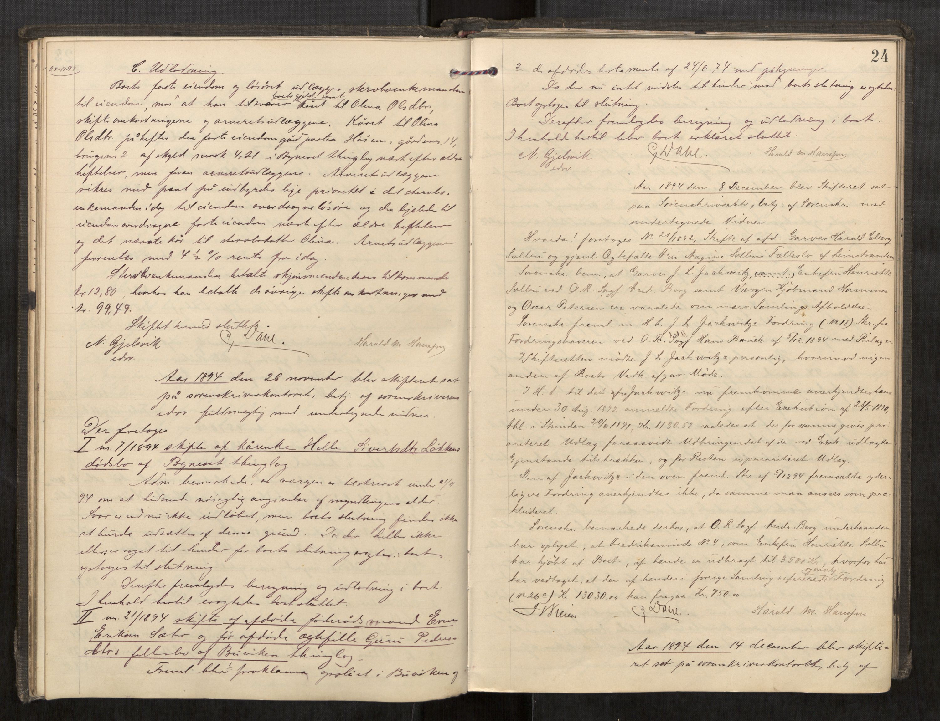 Strinda og Selbu sorenskriveri, AV/SAT-A-0015/3/3B/L0007: Skifteforhandlingsprot. 7 7, 1894-1899, p. 24