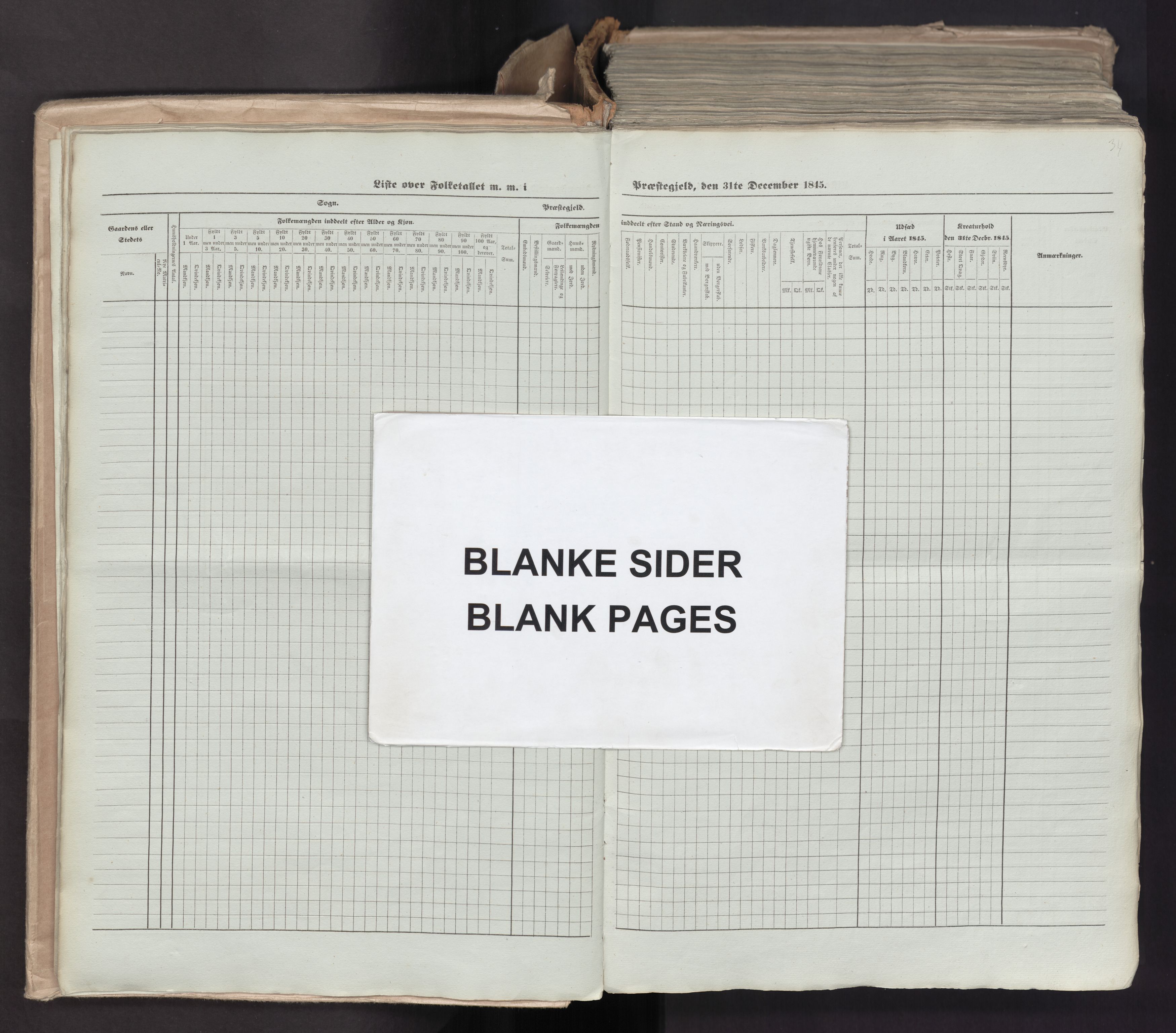 RA, Census 1845, vol. 7: Søndre Bergenhus amt og Nordre Bergenhus amt, 1845, p. 34