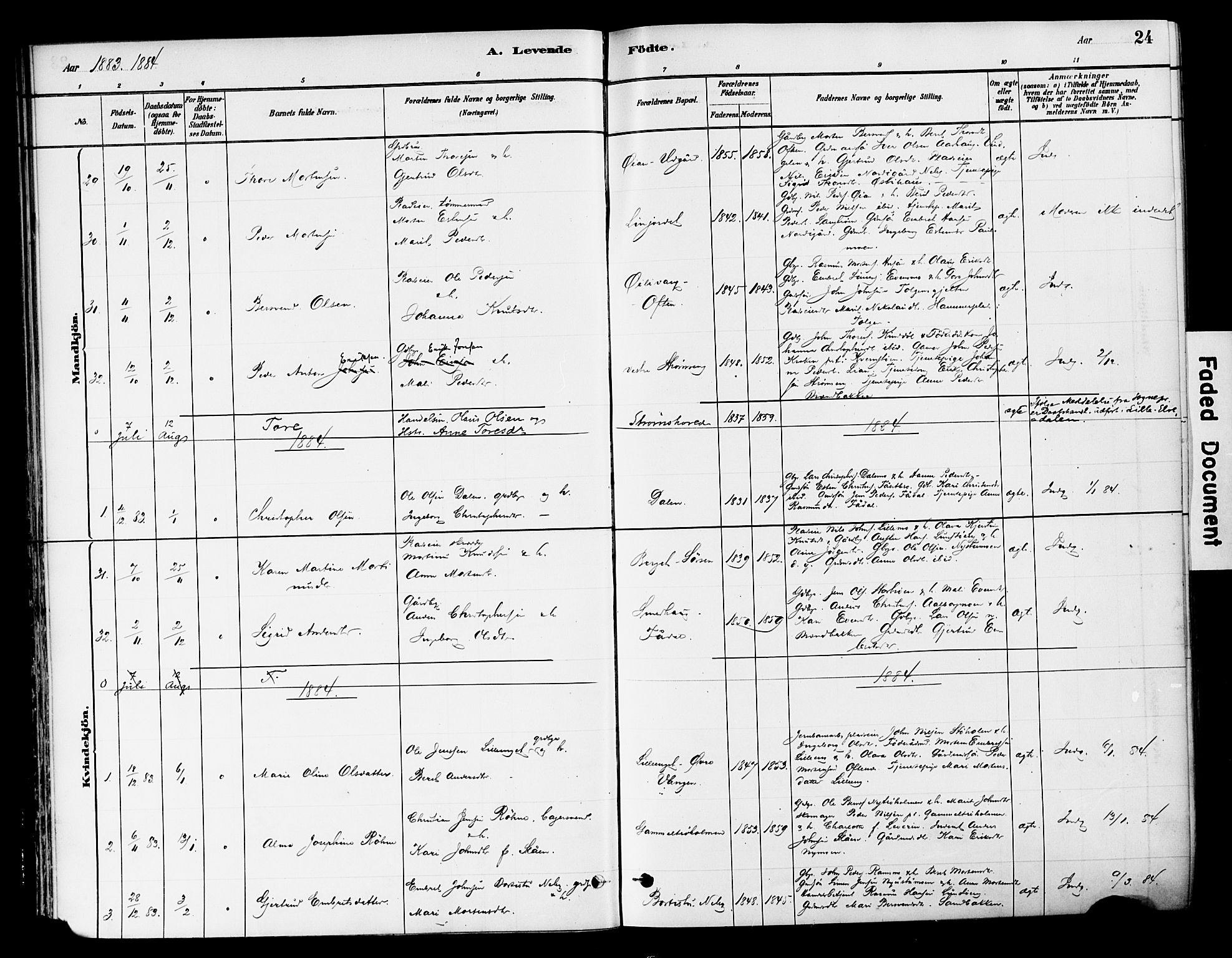 Tynset prestekontor, SAH/PREST-058/H/Ha/Haa/L0022: Parish register (official) no. 22, 1880-1899, p. 24