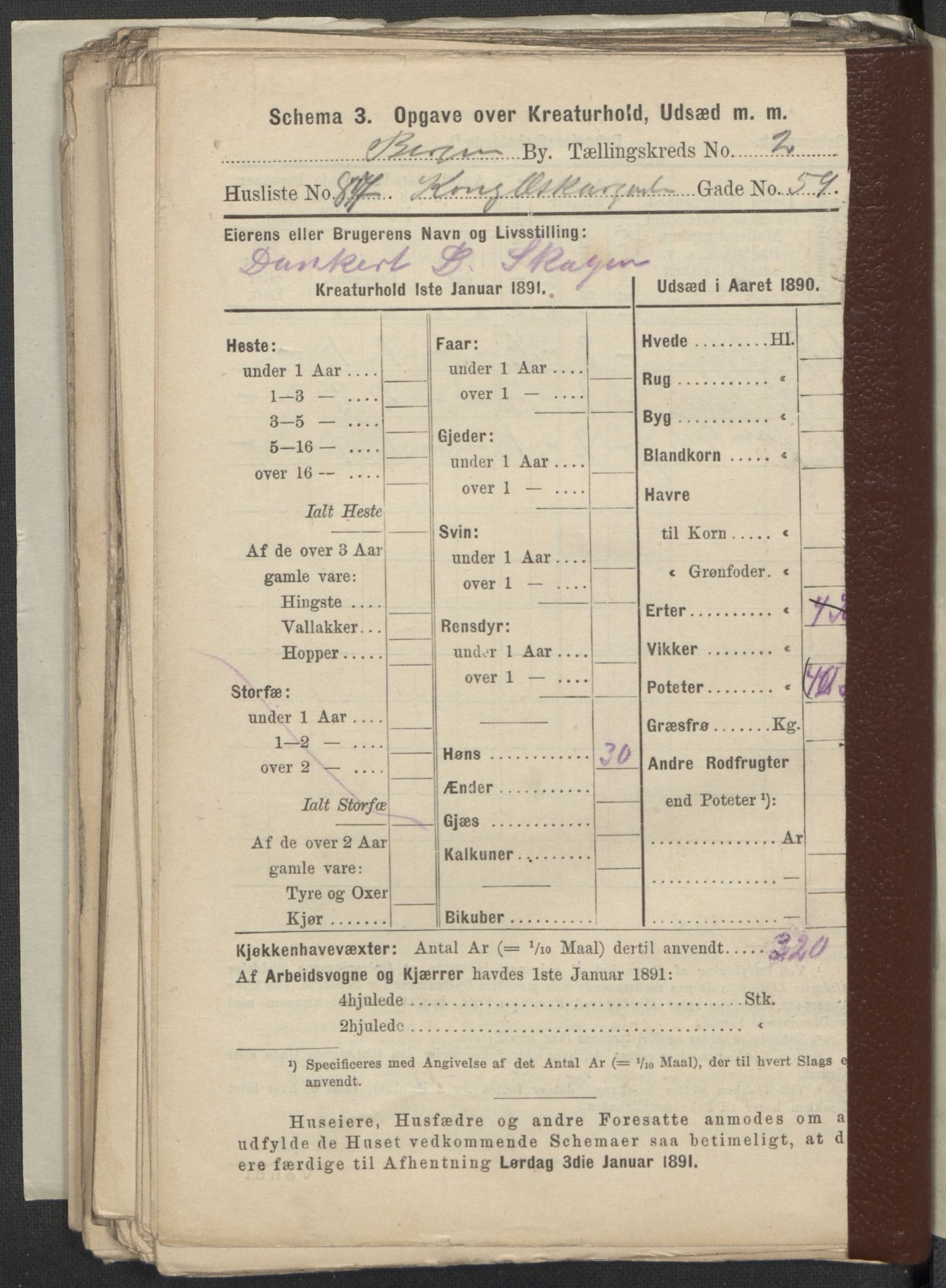 RA, 1891 Census for 1301 Bergen, 1891, p. 555