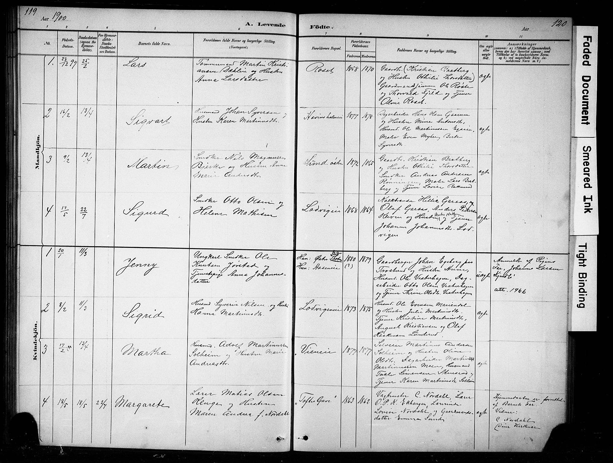 Nes prestekontor, Hedmark, SAH/PREST-020/L/La/L0016: Parish register (copy) no. 16, 1883-1900, p. 119-120