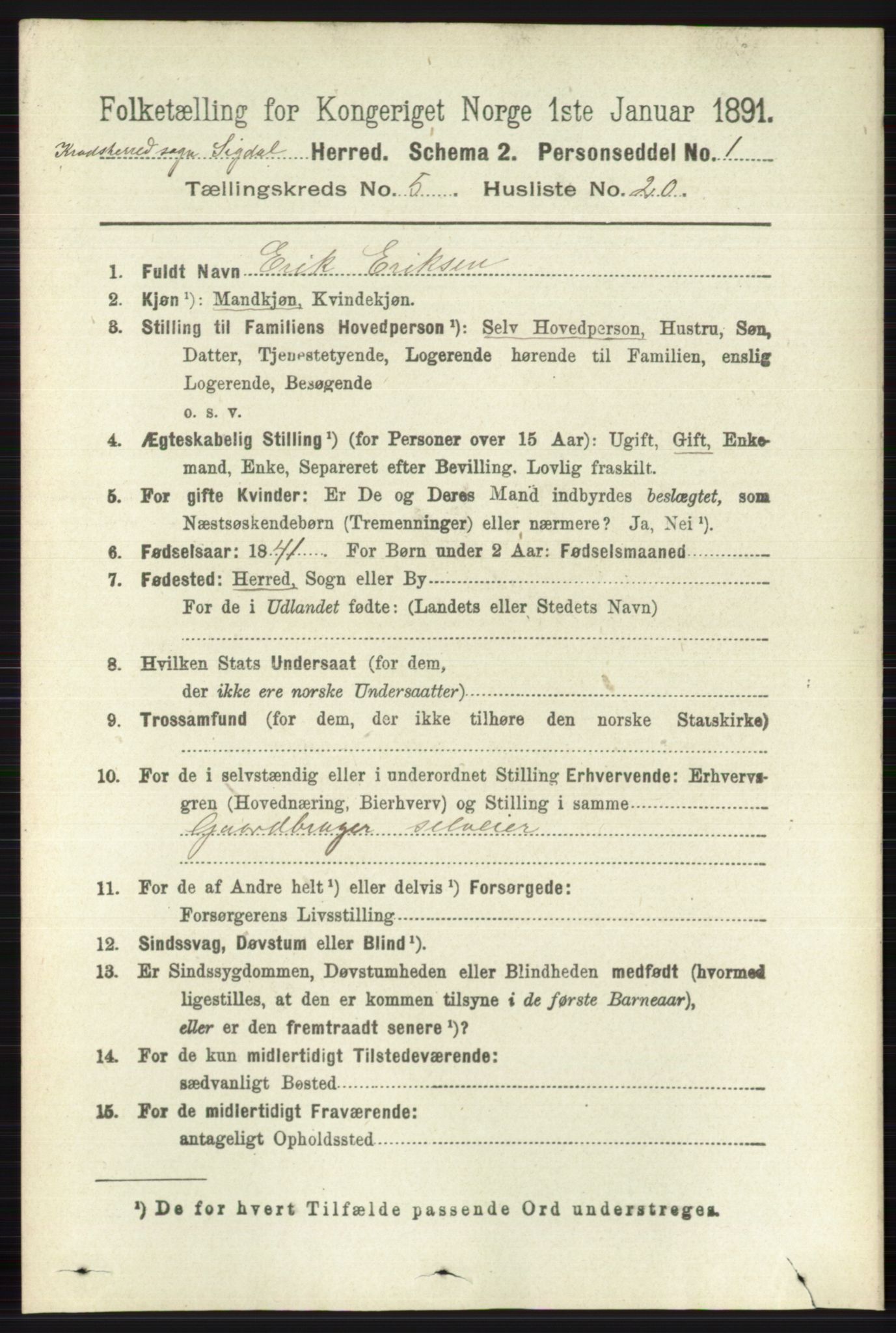 RA, 1891 census for 0621 Sigdal, 1891, p. 6425