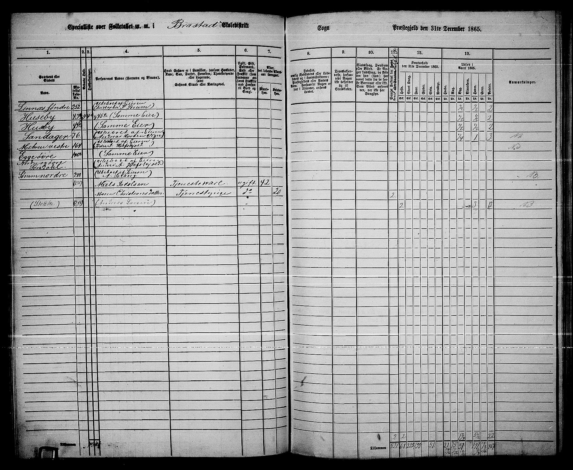 RA, 1865 census for Lier, 1865, p. 144