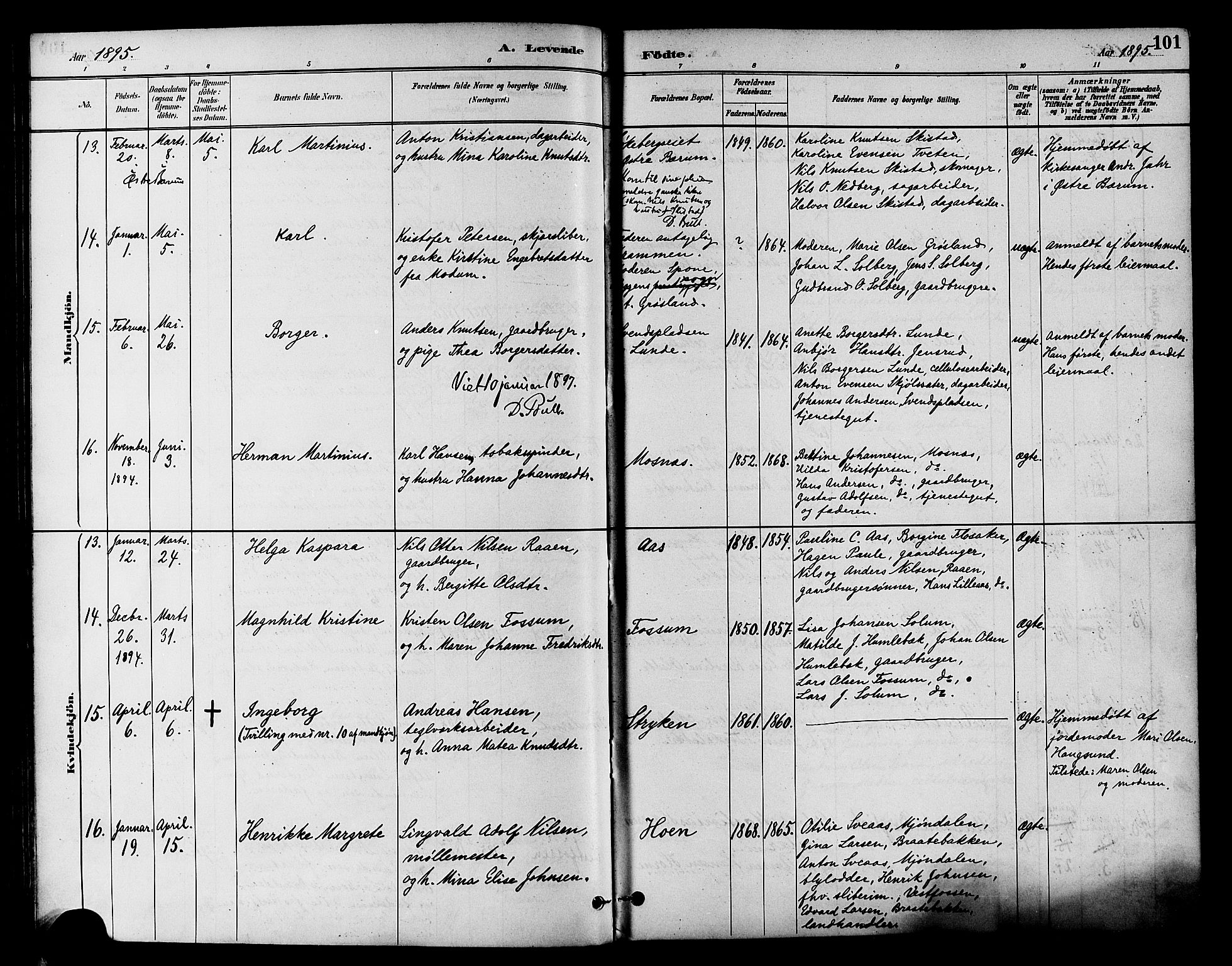 Eiker kirkebøker, AV/SAKO-A-4/F/Fb/L0002: Parish register (official) no. II 2, 1889-1896, p. 101