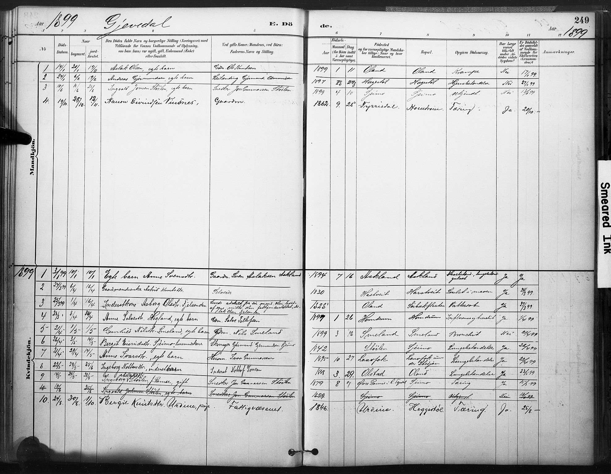 Åmli sokneprestkontor, SAK/1111-0050/F/Fa/Fac/L0010: Parish register (official) no. A 10 /2, 1885-1899, p. 249