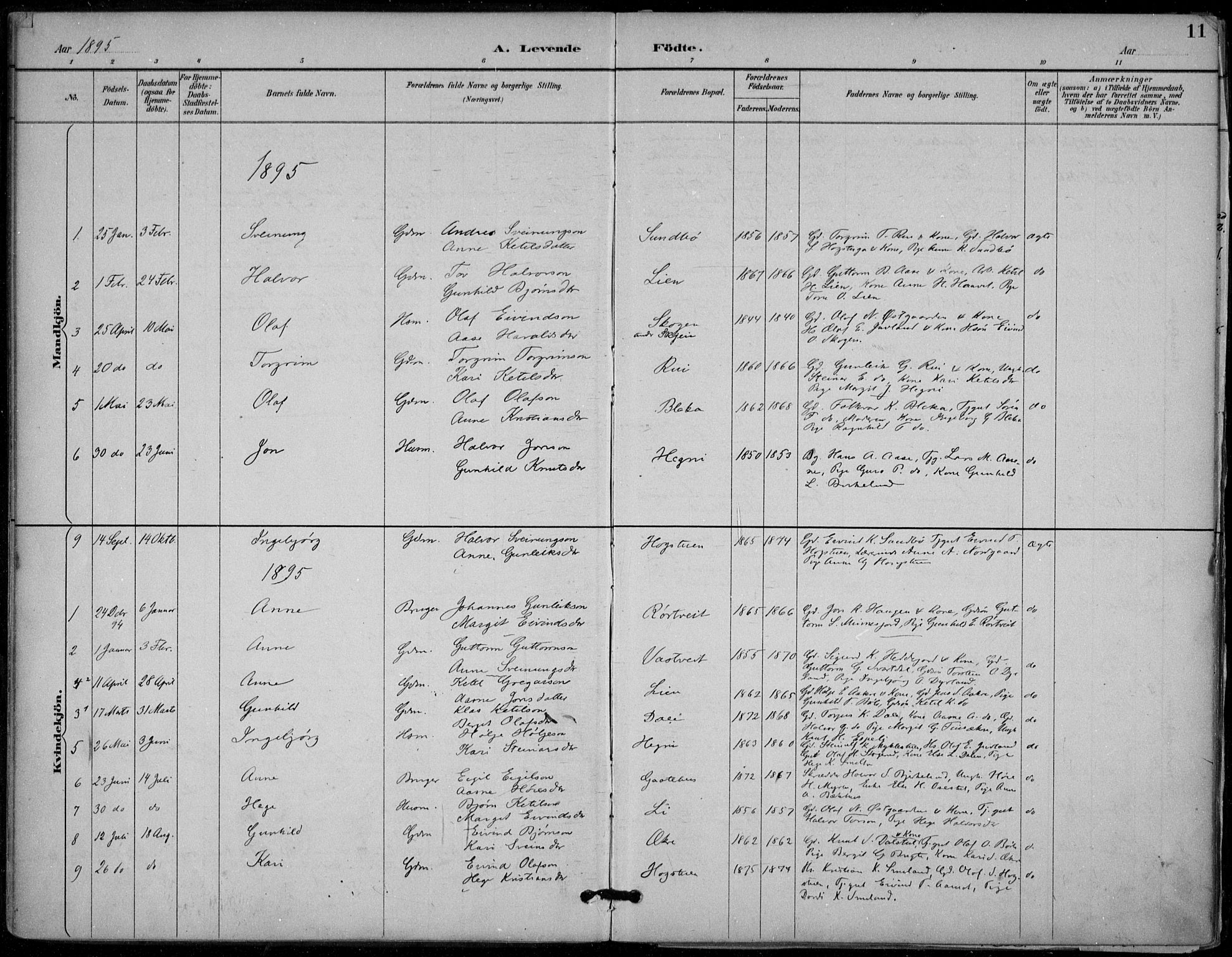 Seljord kirkebøker, SAKO/A-20/F/Fb/L0002: Parish register (official) no. II 2, 1887-1917, p. 11