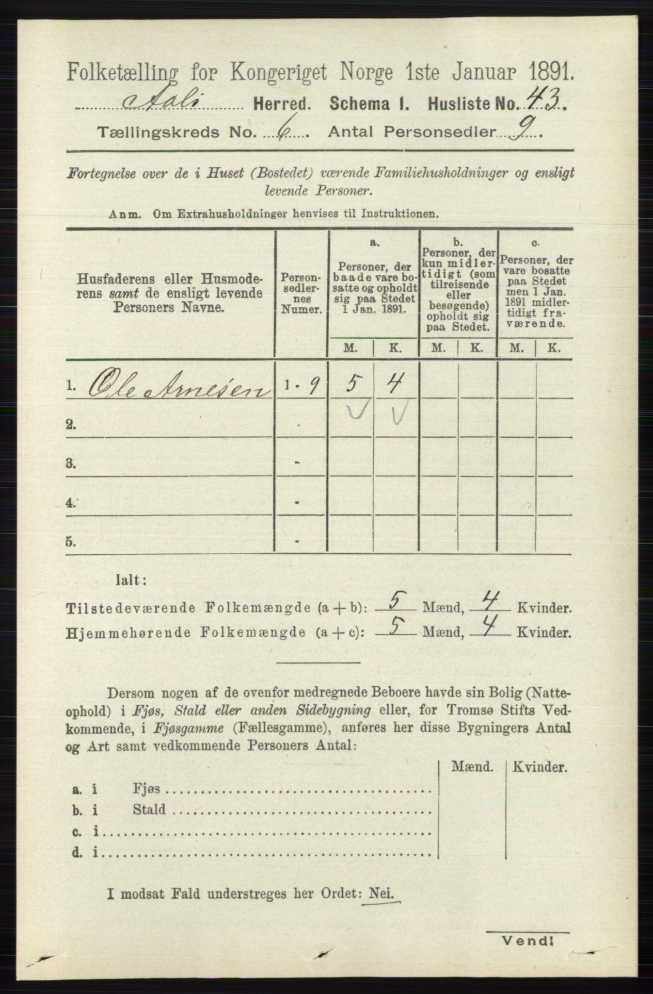 RA, 1891 census for 0619 Ål, 1891, p. 1511