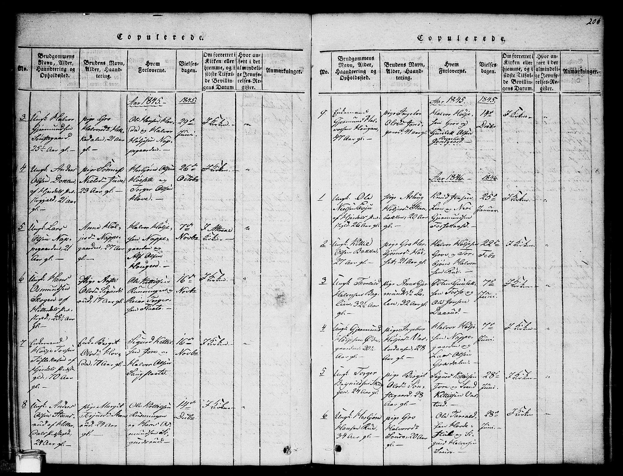 Gransherad kirkebøker, SAKO/A-267/G/Gb/L0001: Parish register (copy) no. II 1, 1815-1860, p. 206