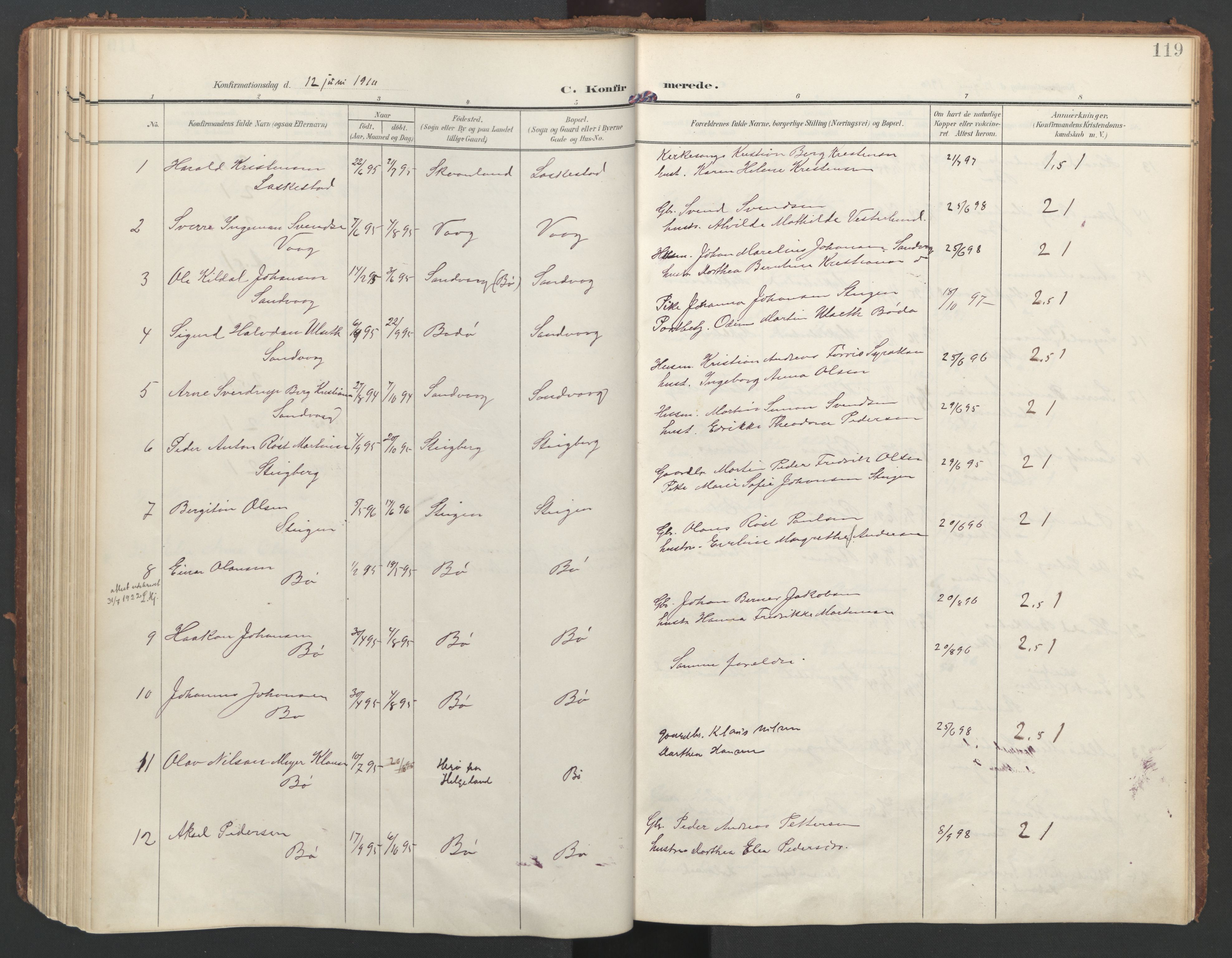 Ministerialprotokoller, klokkerbøker og fødselsregistre - Nordland, AV/SAT-A-1459/855/L0805: Parish register (official) no. 855A13, 1906-1920, p. 119