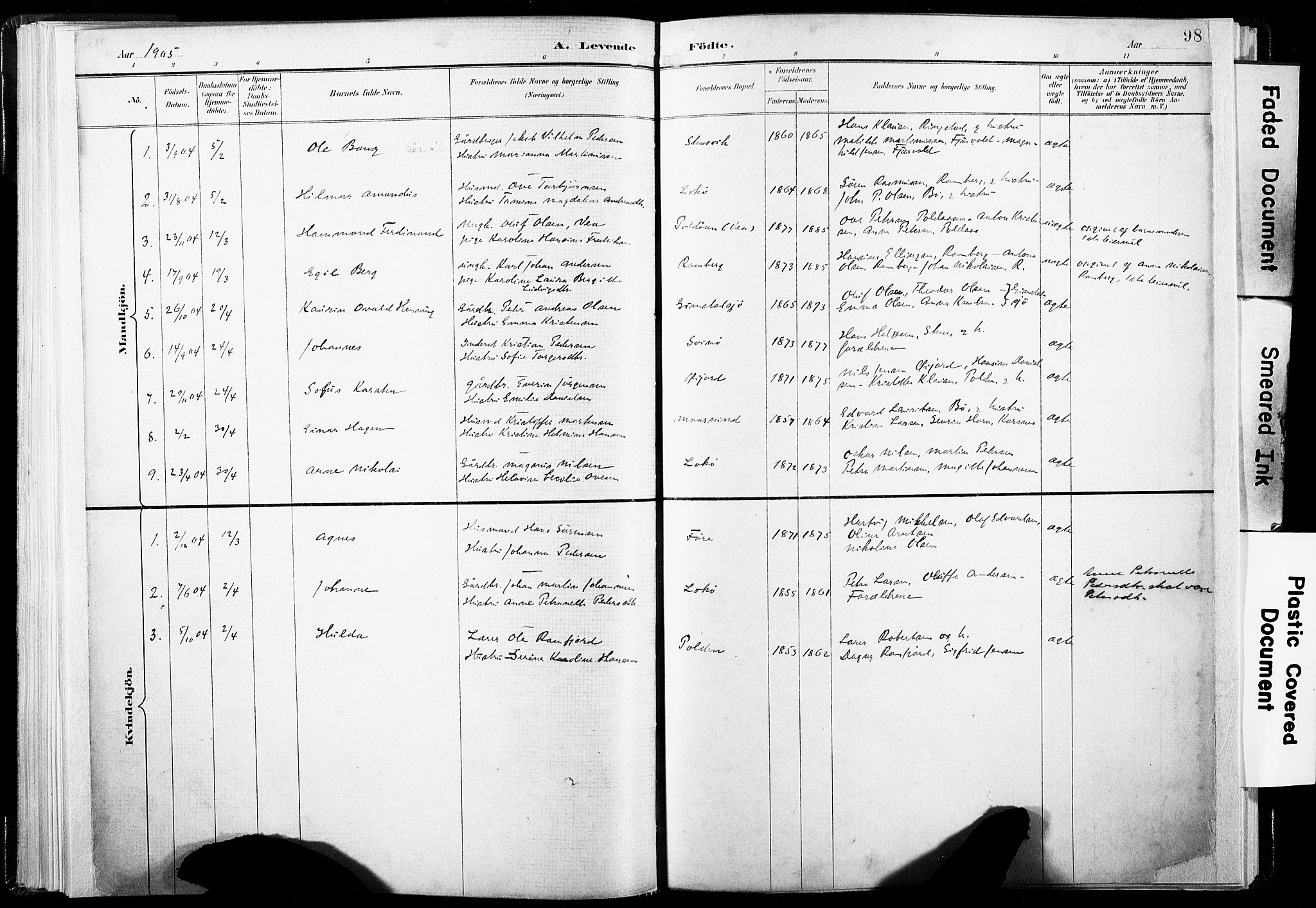 Ministerialprotokoller, klokkerbøker og fødselsregistre - Nordland, SAT/A-1459/891/L1304: Parish register (official) no. 891A09, 1895-1921, p. 98