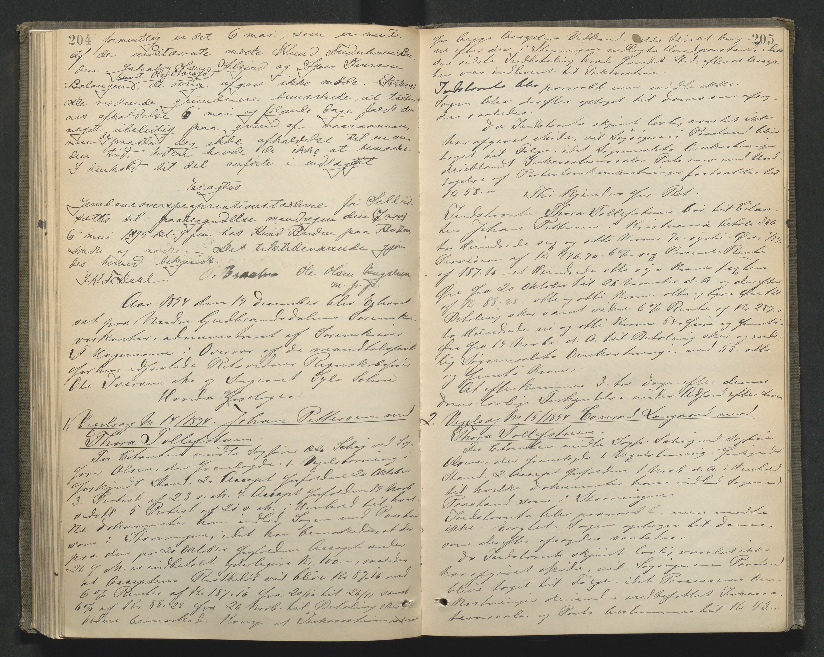 Nord-Gudbrandsdal tingrett, AV/SAH-TING-002/G/Gc/Gcb/L0005: Ekstrarettsprotokoll for åstedssaker, 1889-1900, p. 204-205