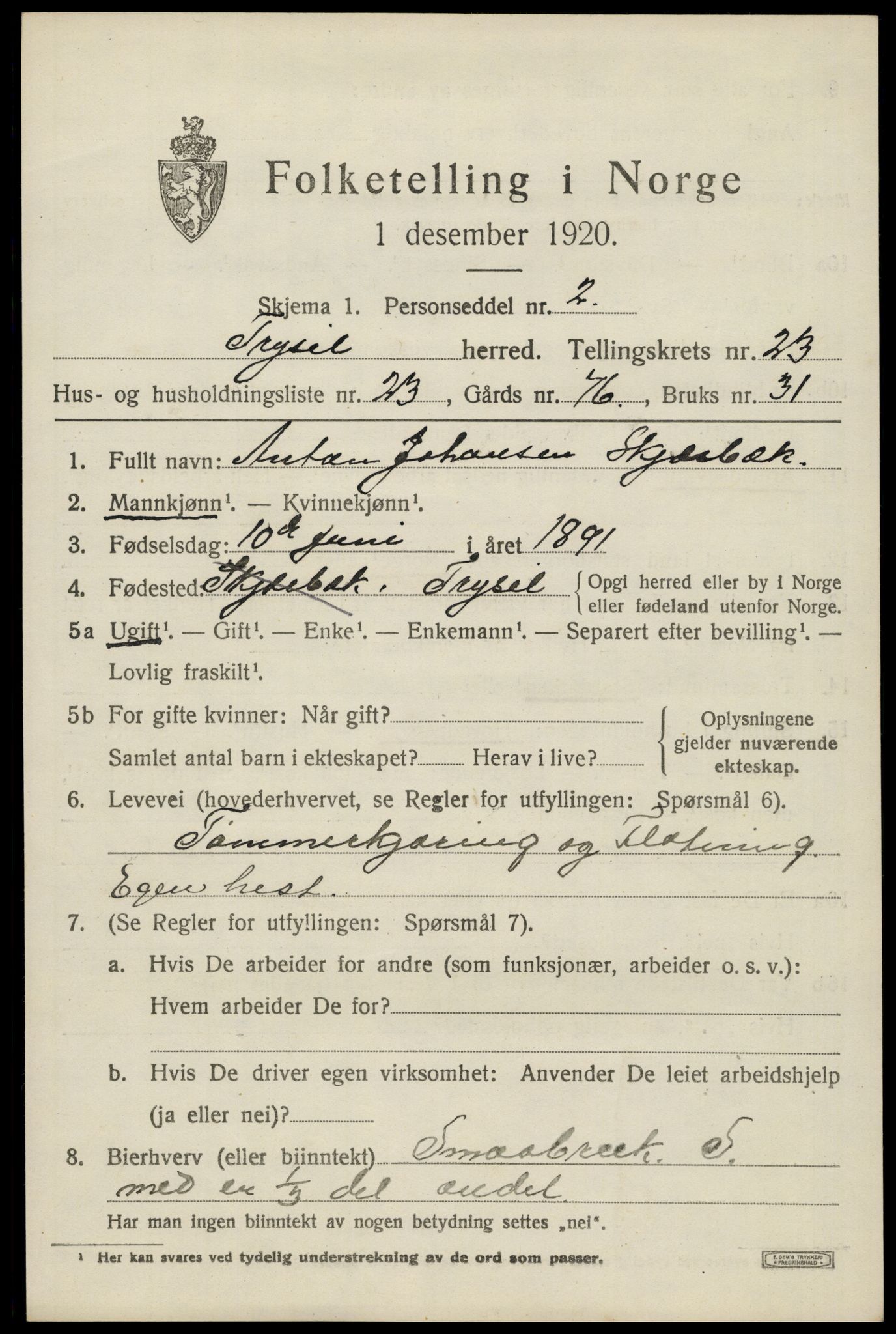 SAH, 1920 census for Trysil, 1920, p. 15123