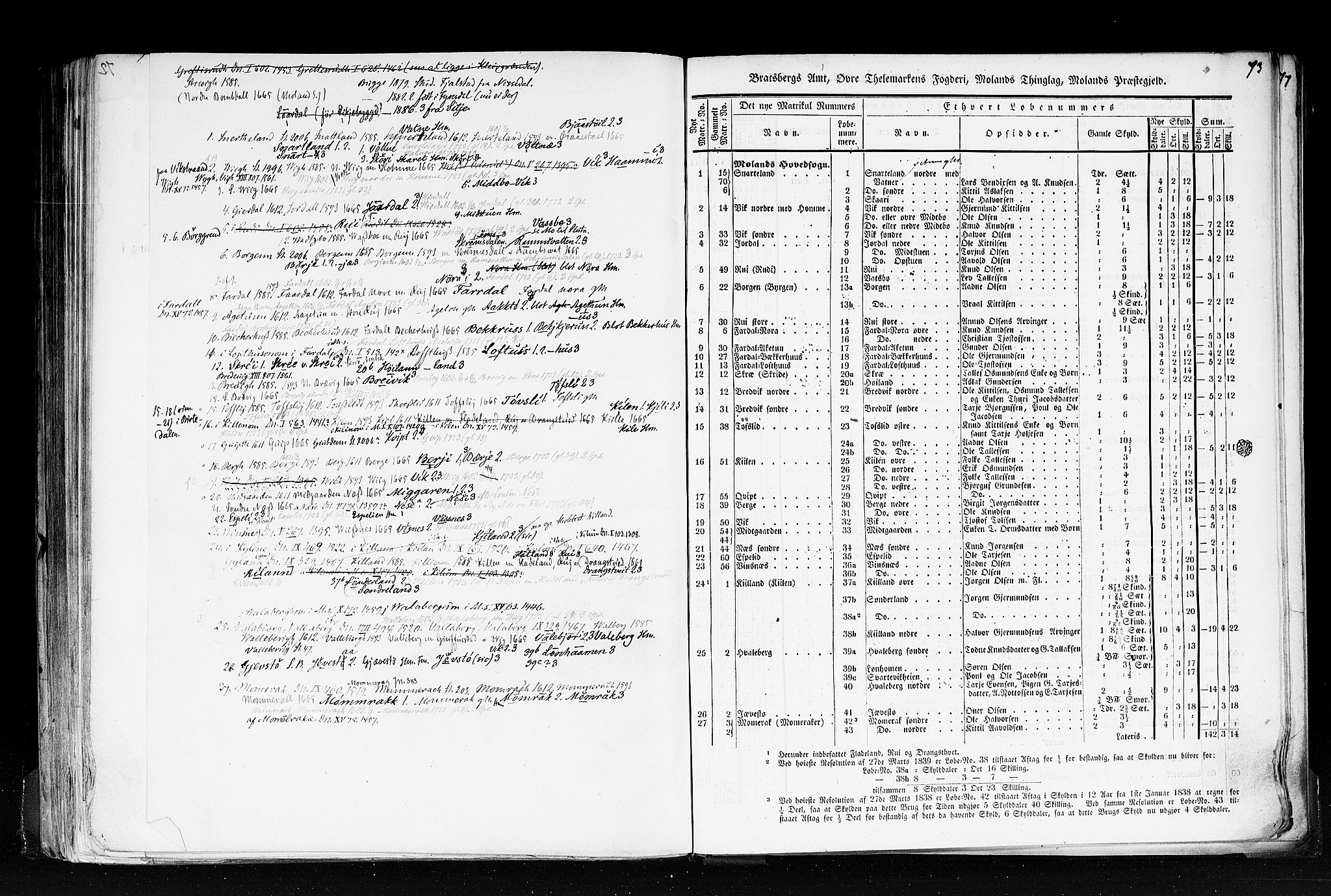 Rygh, RA/PA-0034/F/Fb/L0007: Matrikkelen for 1838 - Bratsberg amt (Telemark fylke), 1838, p. 73a