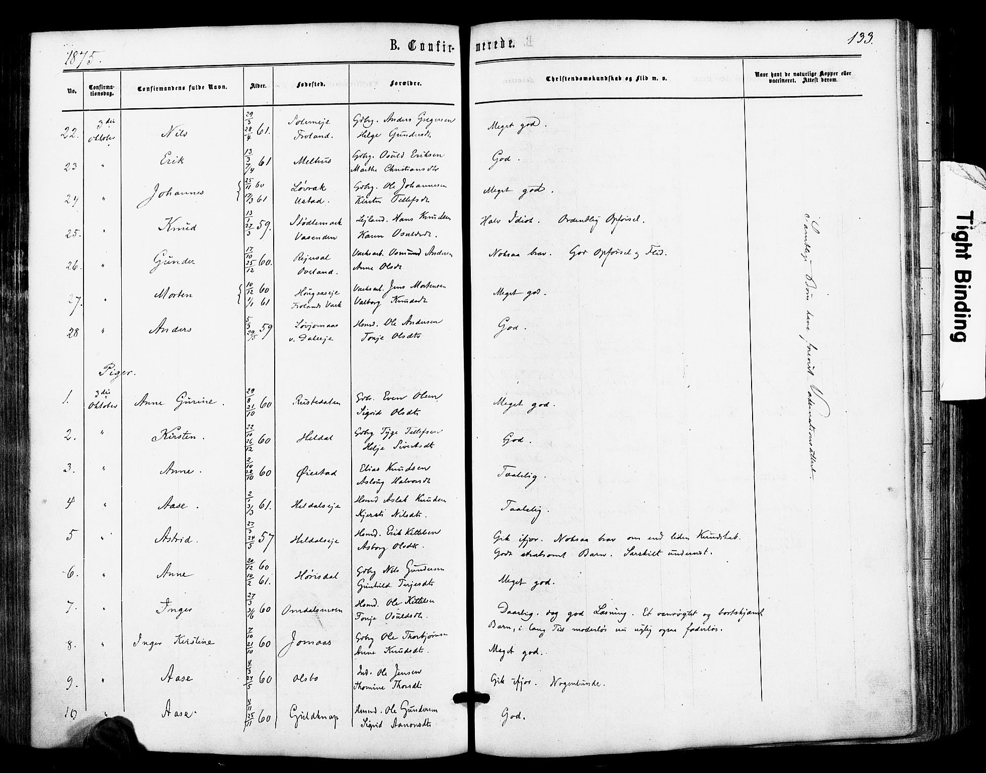 Froland sokneprestkontor, AV/SAK-1111-0013/F/Fa/L0003: Parish register (official) no. A 3, 1864-1881, p. 133