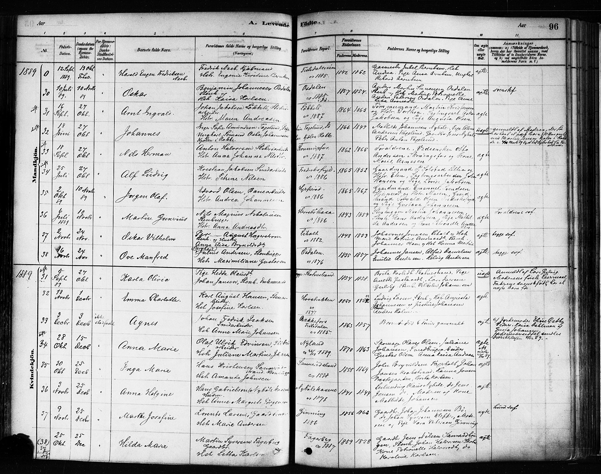 Idd prestekontor Kirkebøker, SAO/A-10911/F/Fc/L0006a: Parish register (official) no. III 6A, 1878-1903, p. 96