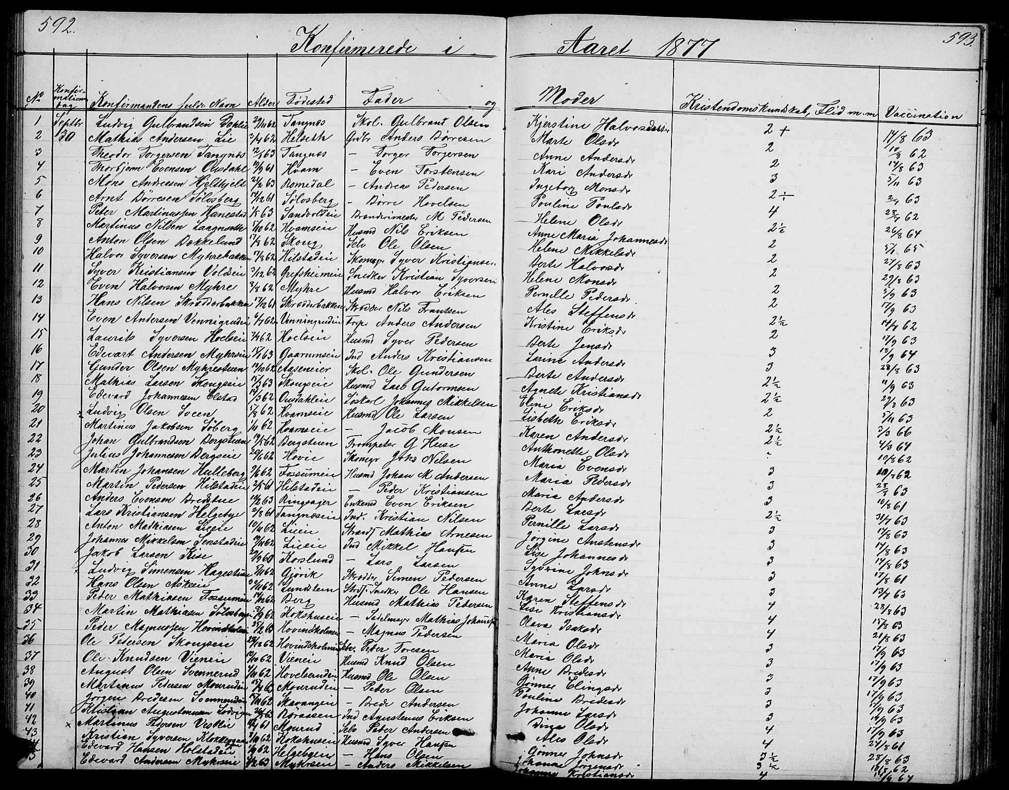Nes prestekontor, Hedmark, AV/SAH-PREST-020/L/La/L0005: Parish register (copy) no. 5, 1852-1889, p. 592-593