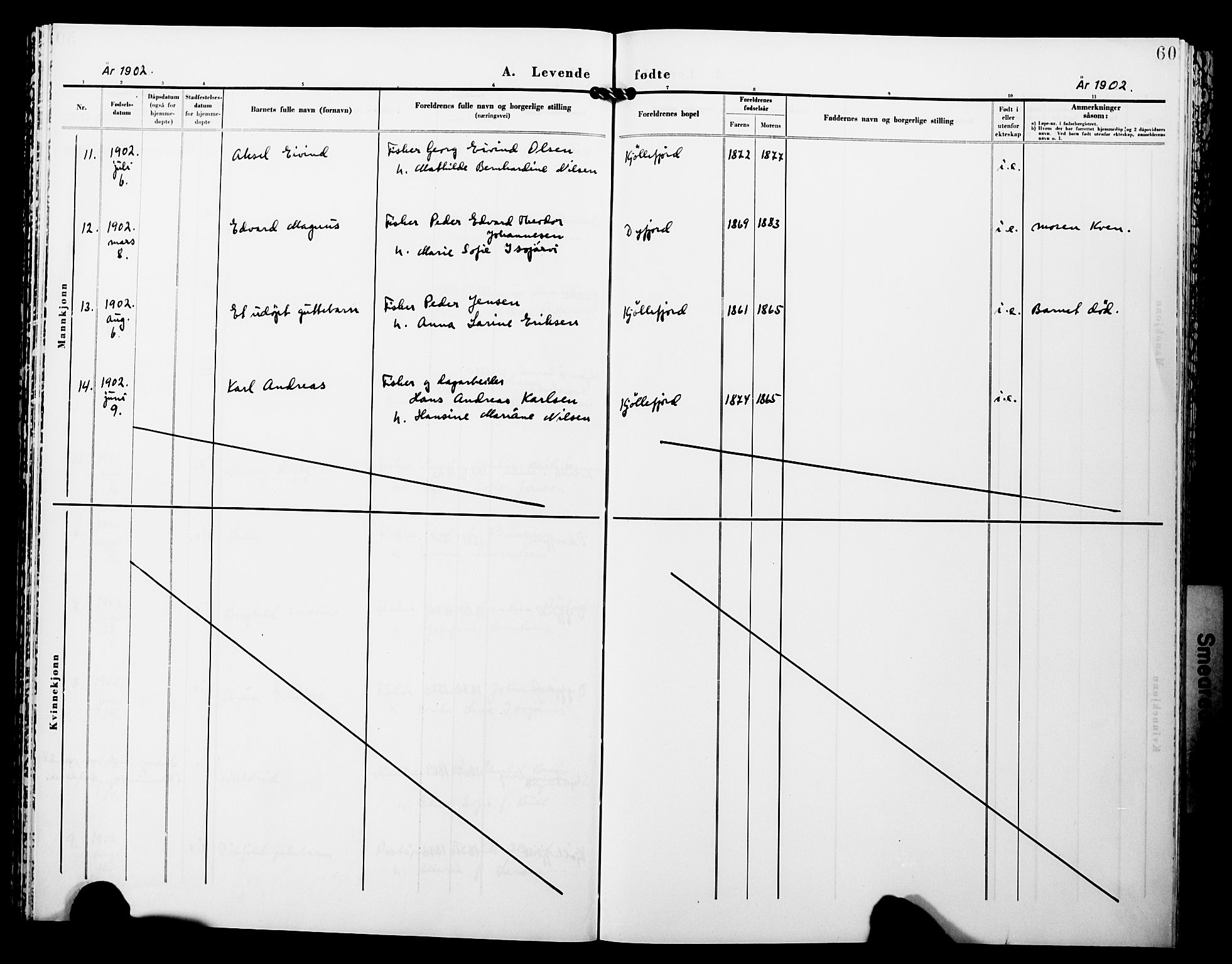 Lebesby sokneprestkontor, AV/SATØ-S-1353/H/Ha/L0005kirke: Parish register (official) no. 5, 1870-1902, p. 60