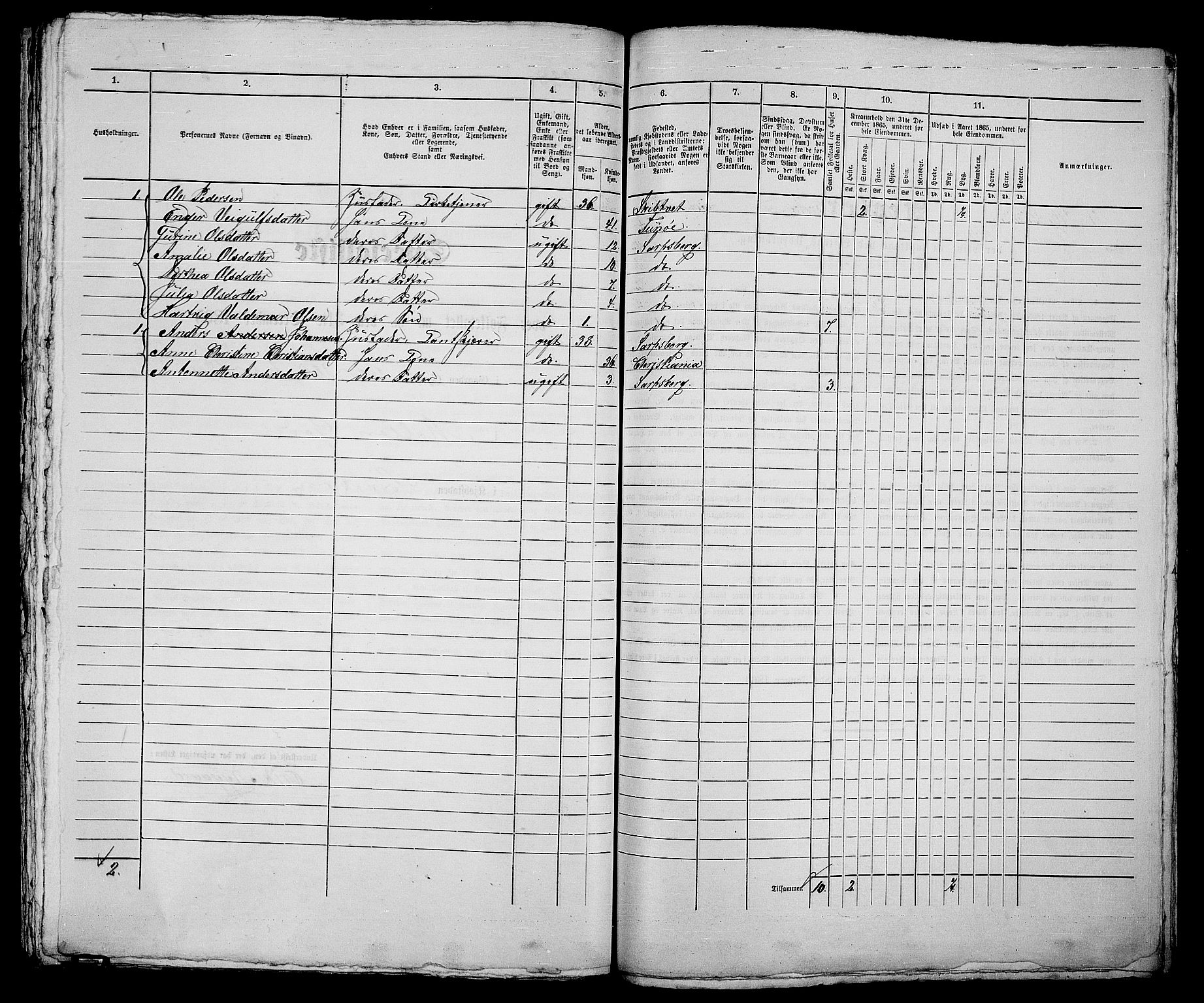 RA, 1865 census for Sarpsborg, 1865, p. 484