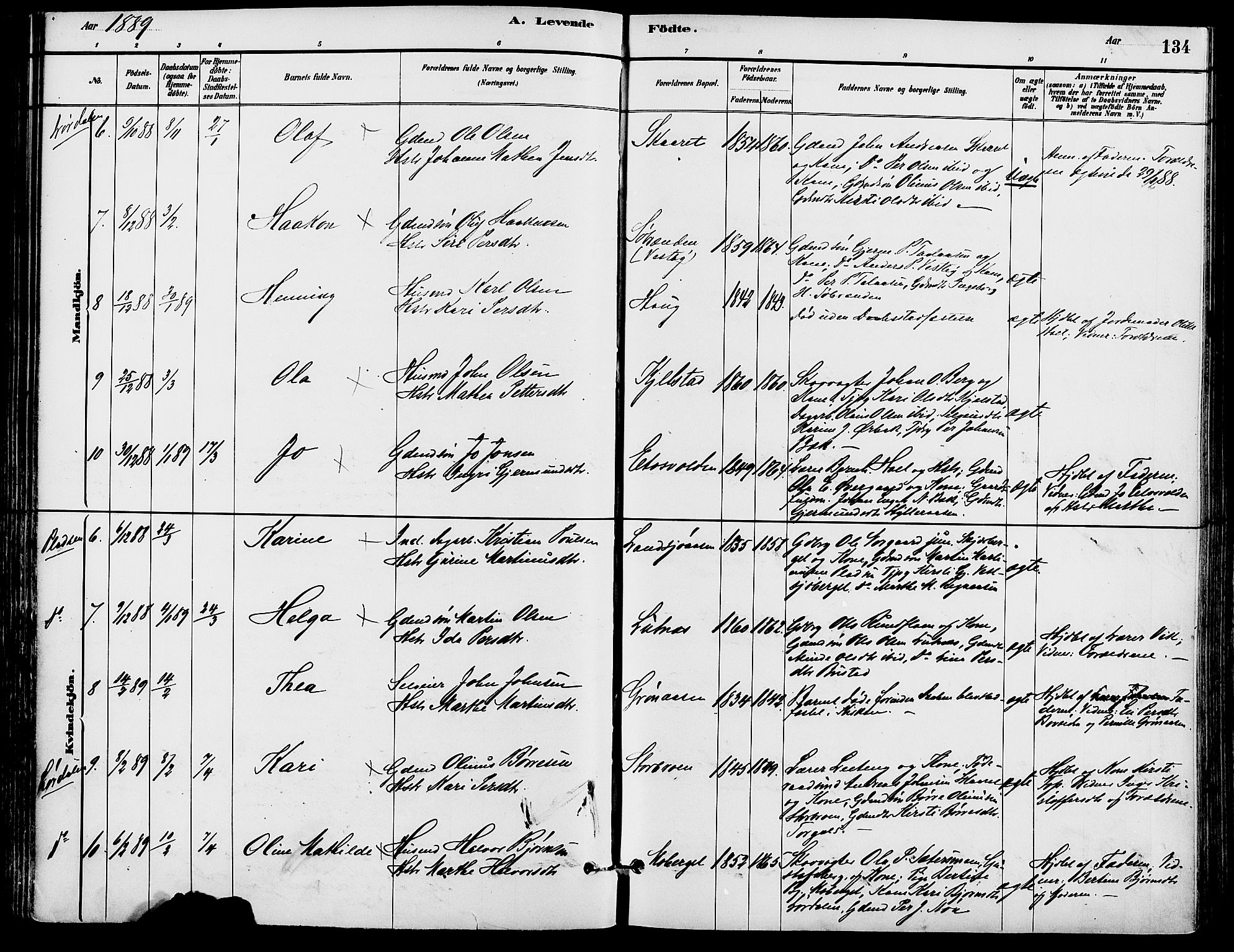 Trysil prestekontor, SAH/PREST-046/H/Ha/Haa/L0008: Parish register (official) no. 8, 1881-1897, p. 134