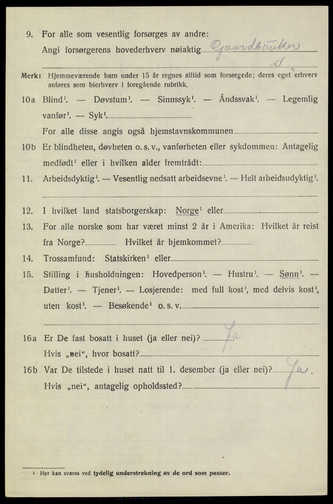 SAKO, 1920 census for Heddal, 1920, p. 6017