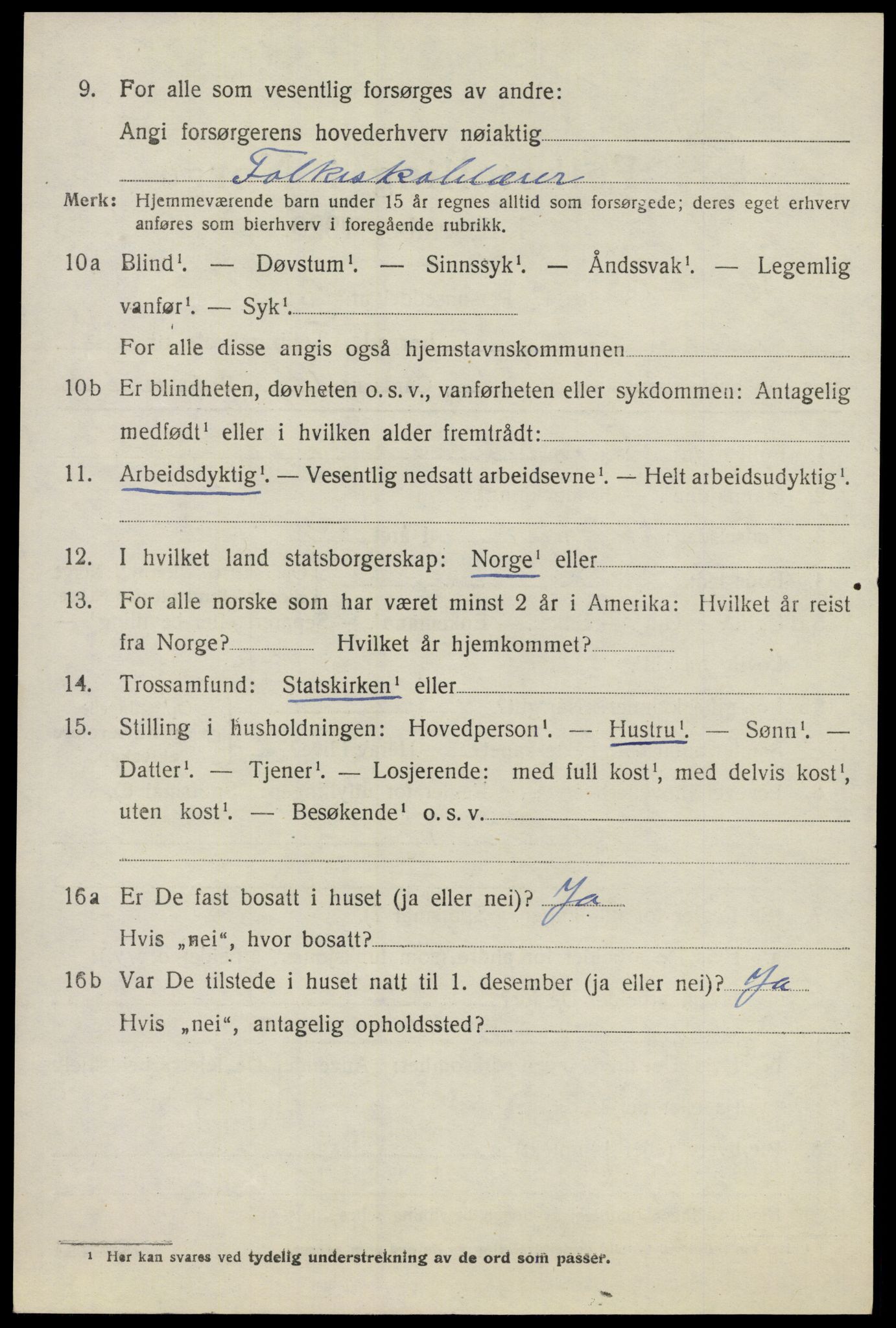 SAO, 1920 census for Nes, 1920, p. 13943