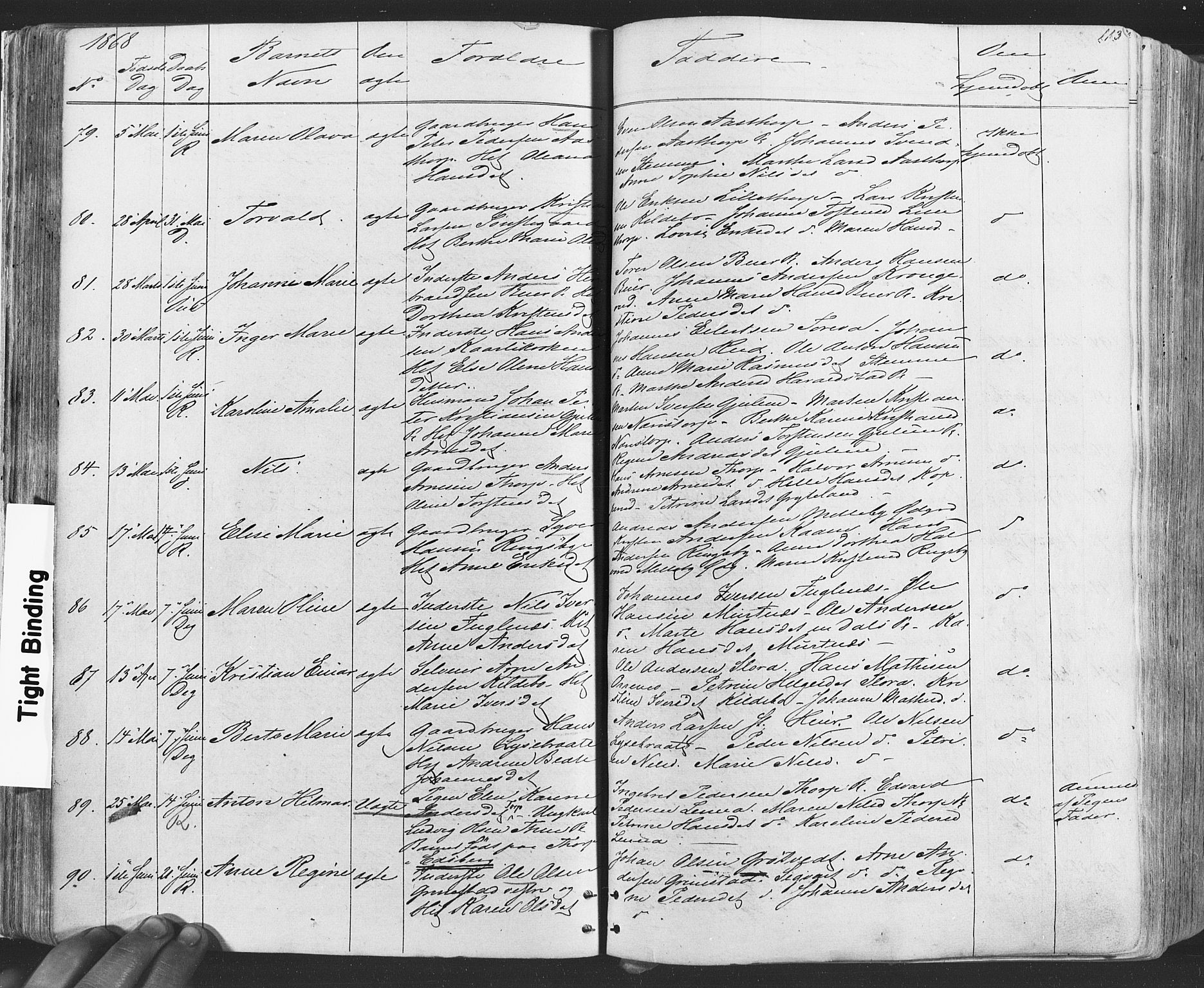 Rakkestad prestekontor Kirkebøker, SAO/A-2008/F/Fa/L0011: Parish register (official) no. I 11, 1862-1877, p. 113